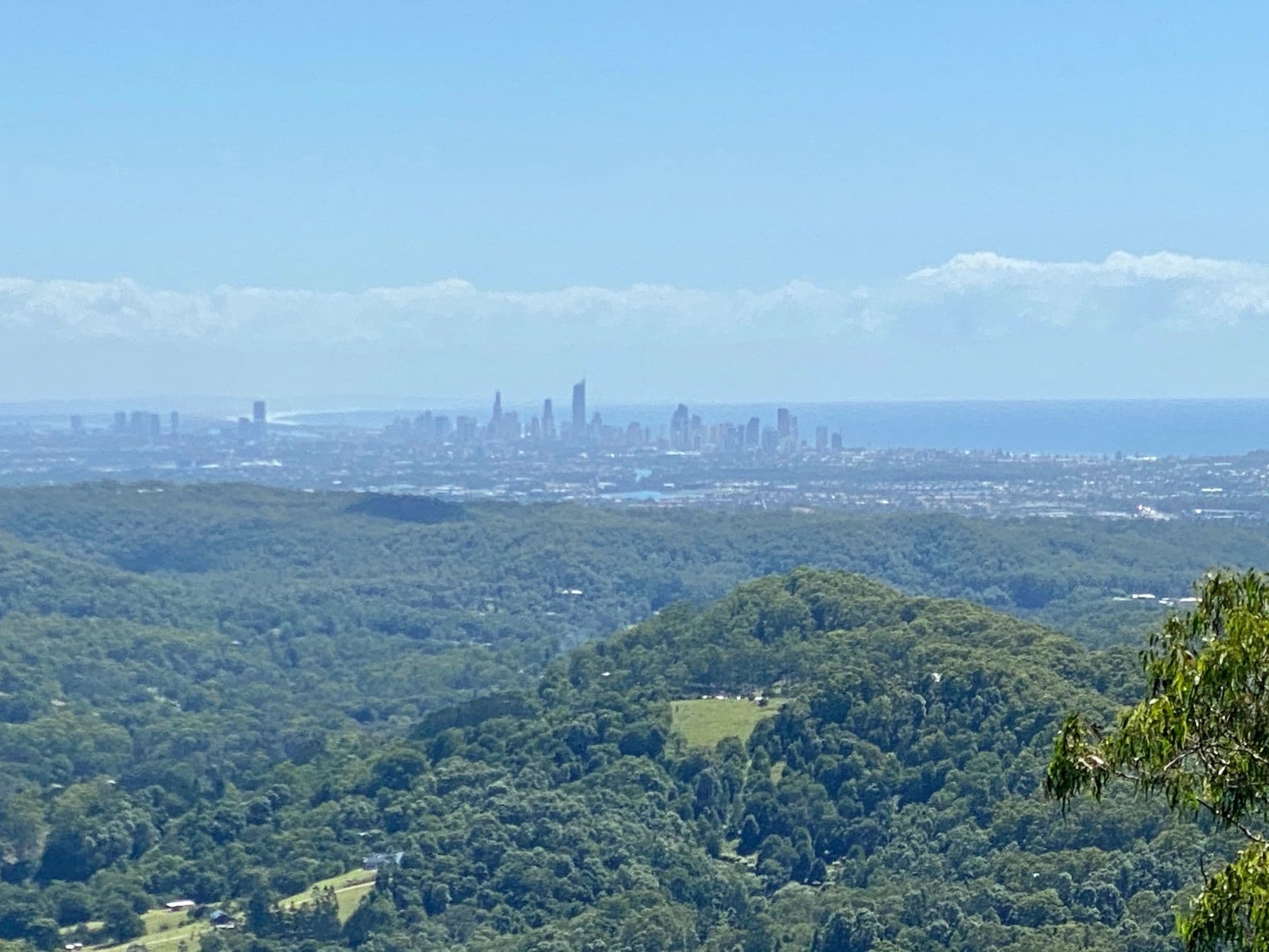 686 Trees Road, Tallebudgera Valley QLD 4228, Tallebudgera Valley - Thumbnail 5