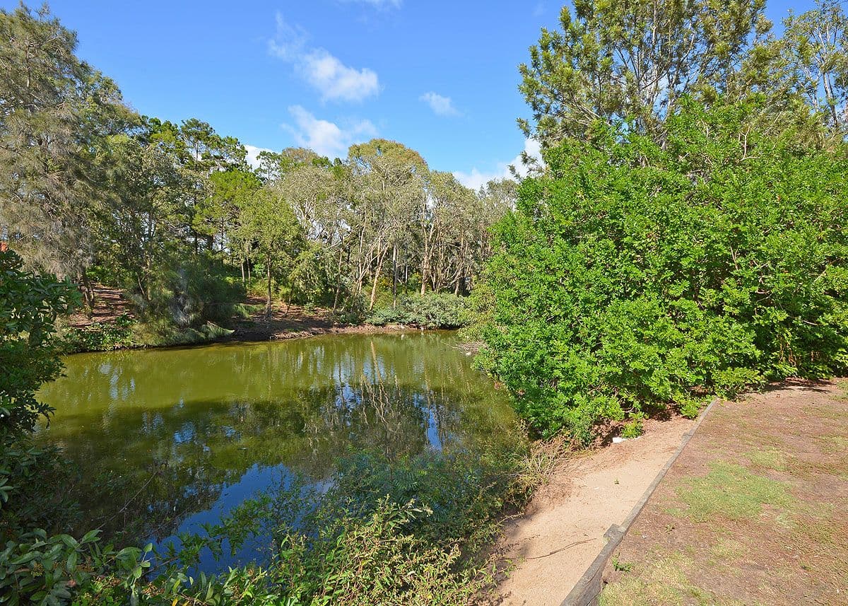 7 Anembo Drive, Torquay QLD 4655, Torquay - Thumbnail 2