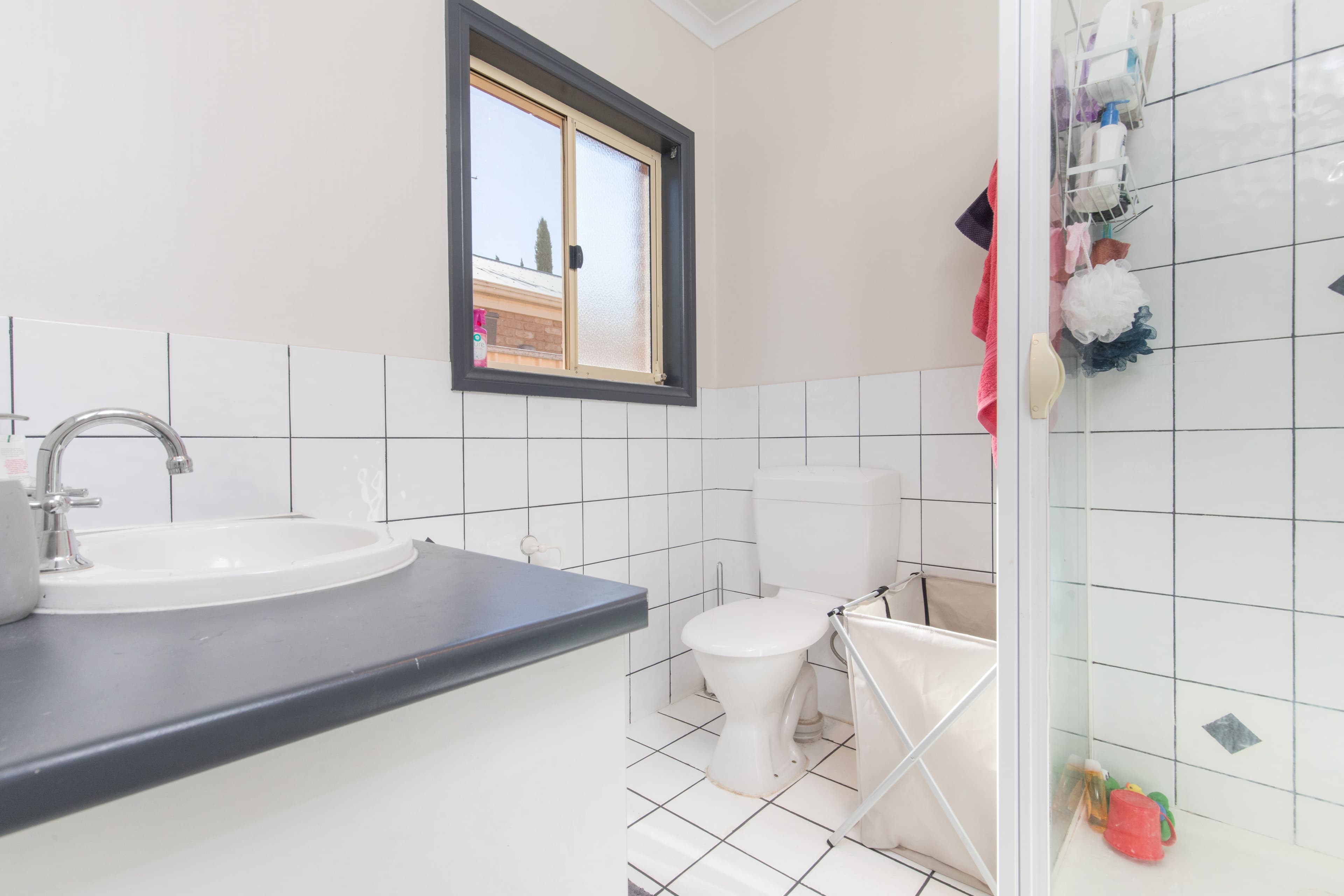 4 Georgia Court, Mildura VIC 3500, Mildura - Thumbnail 7