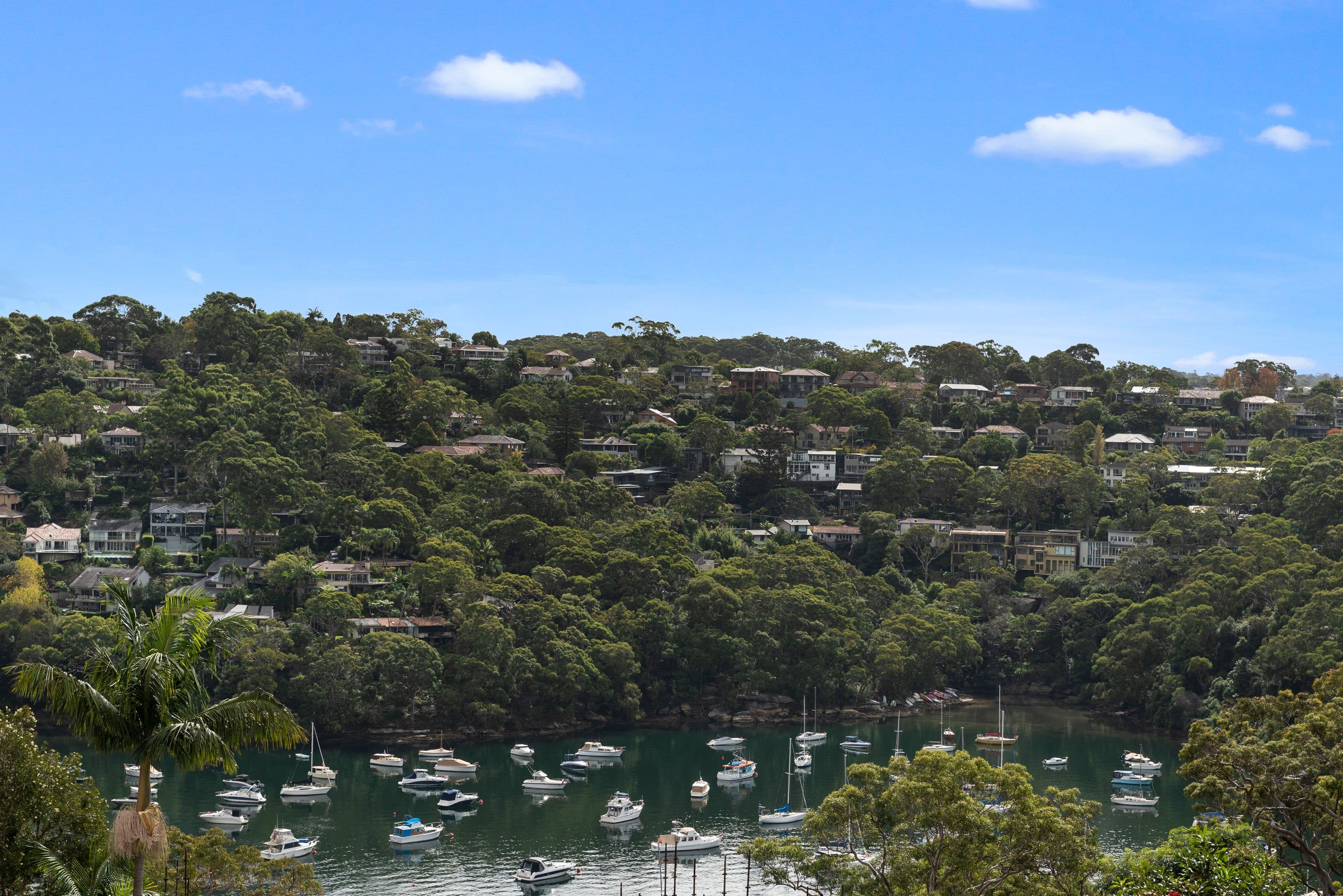 22 Byora Crescent, Northbridge NSW 2063, Northbridge - Thumbnail 2