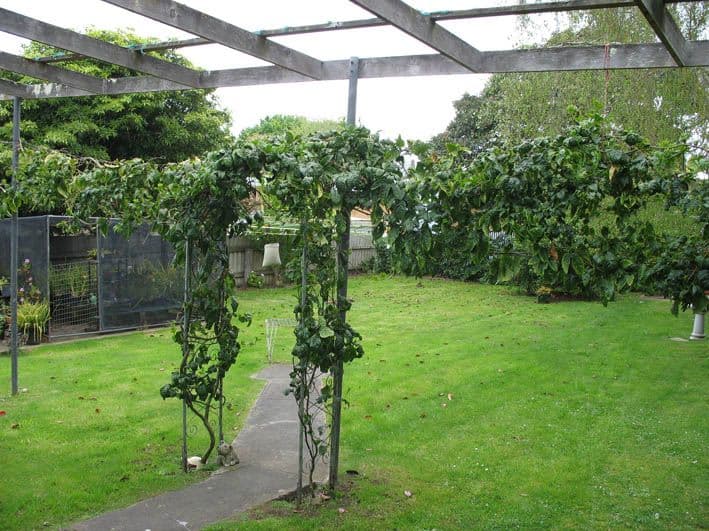 3 Fairlie Street, MOUNT GAMBIER SA 5291, Mount Gambier - Thumbnail 2