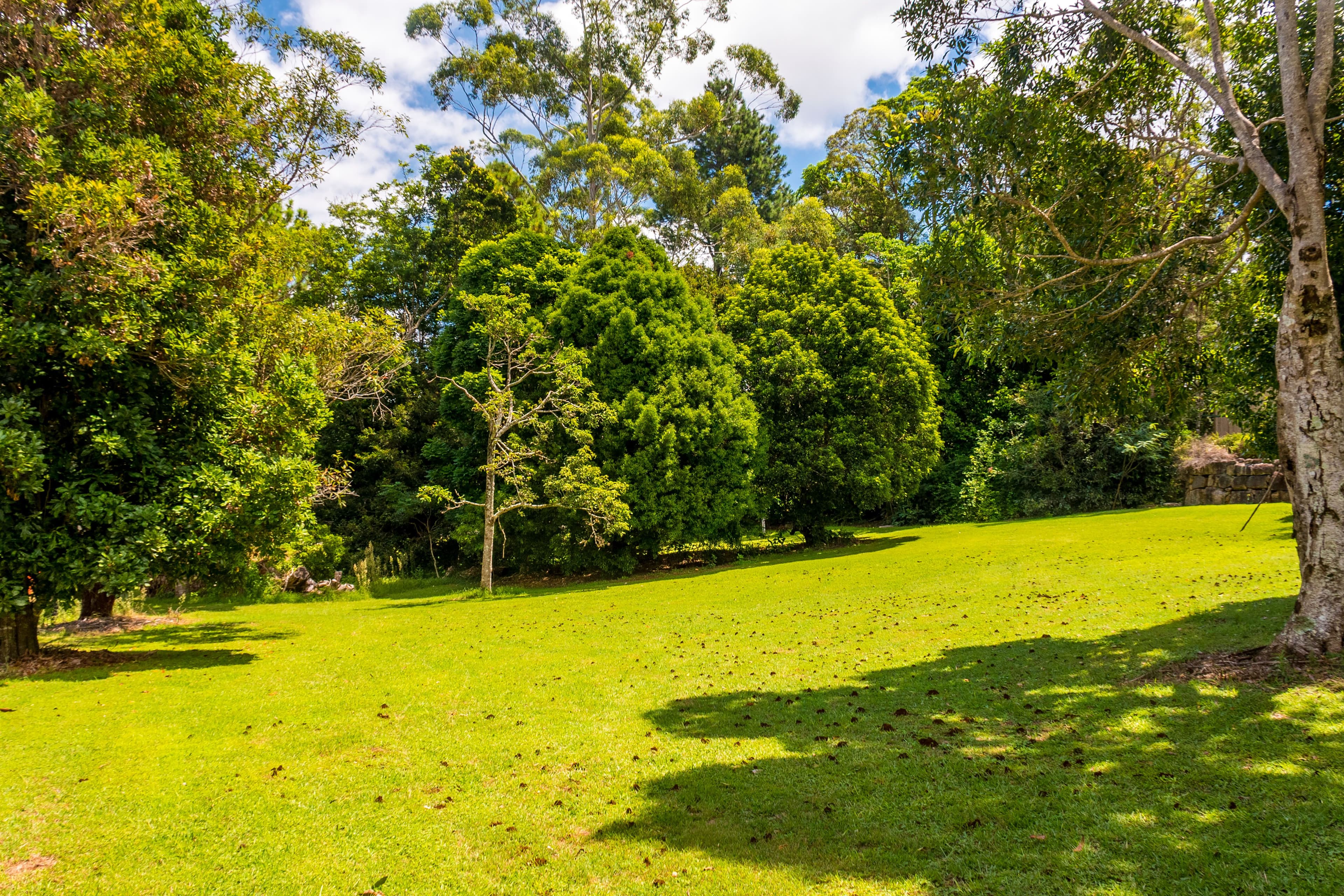 65-67 Prospect Street, Tamborine Mountain QLD 4272, Tamborine Mountain - Thumbnail 4