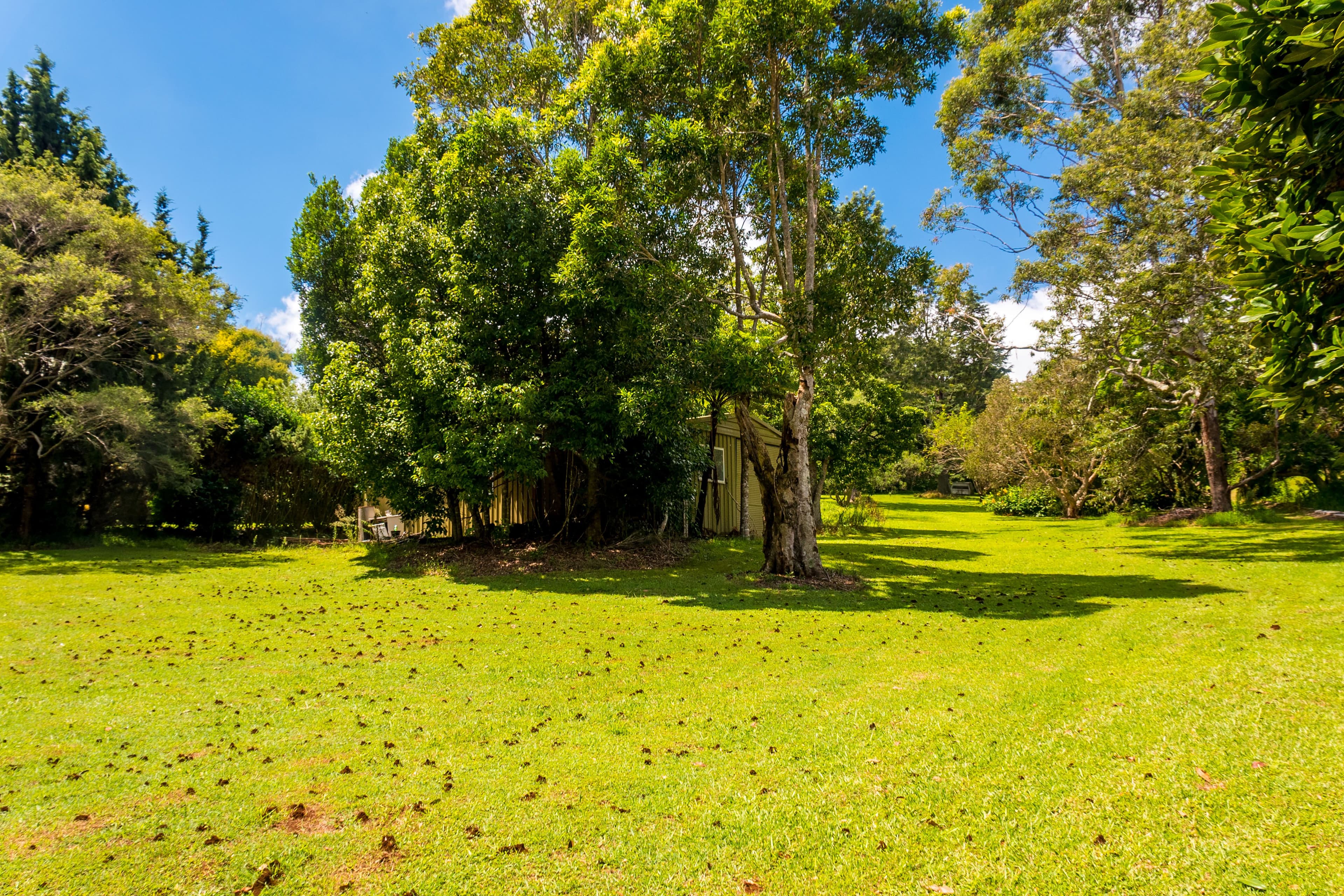 65-67 Prospect Street, Tamborine Mountain QLD 4272, Tamborine Mountain - Thumbnail 7