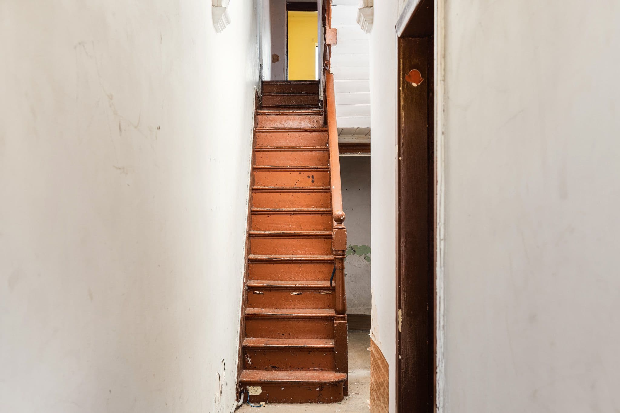 99 Crystal Street, Petersham NSW 2049, Petersham - Thumbnail 4