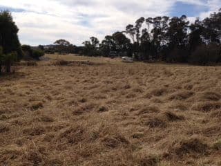5 Hill Street, Majors Creek NSW 2622, Majors Creek - Thumbnail 3