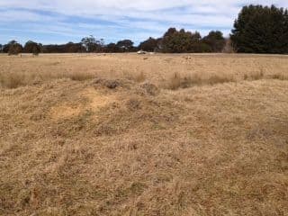 5 Hill Street, Majors Creek NSW 2622, Majors Creek - Thumbnail 5