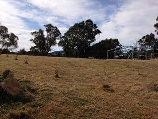 5 Hill Street, Majors Creek NSW 2622, Majors Creek - Thumbnail 7