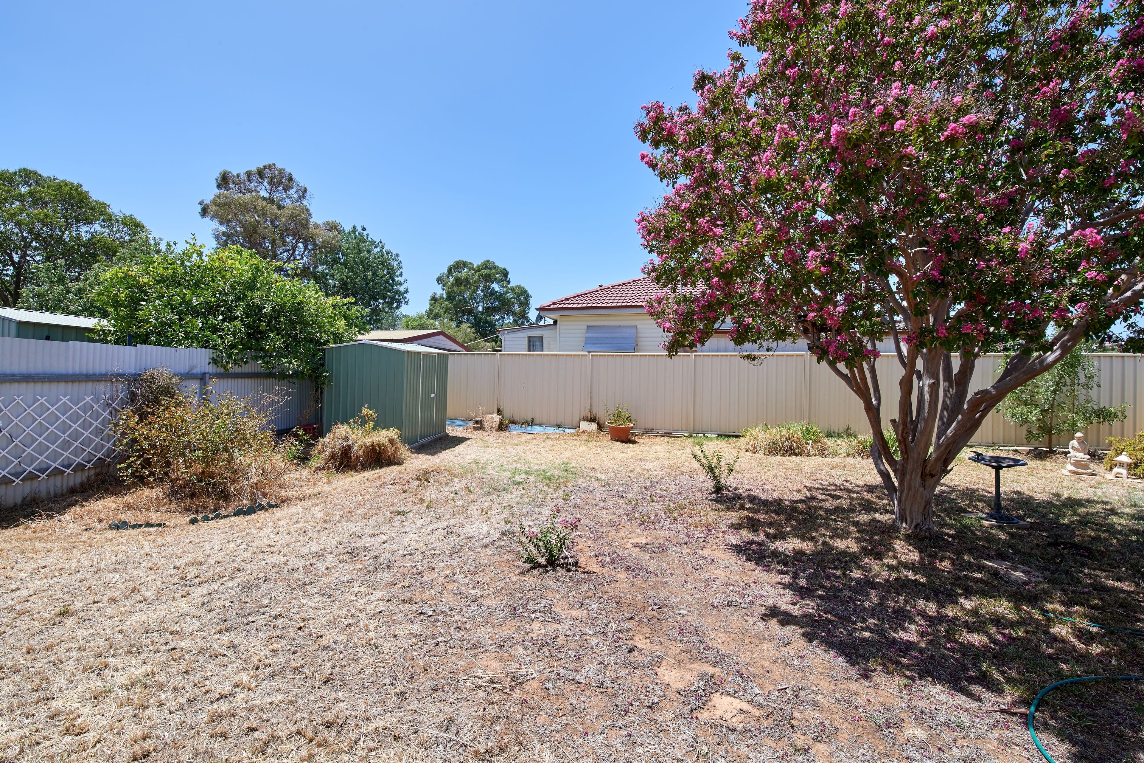 7 Essex Road, Mount Austin NSW 2650, Mount Austin - Thumbnail 8