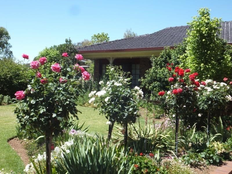 45 Bathurst Street, FORBES NSW 2871, Forbes - Thumbnail 2