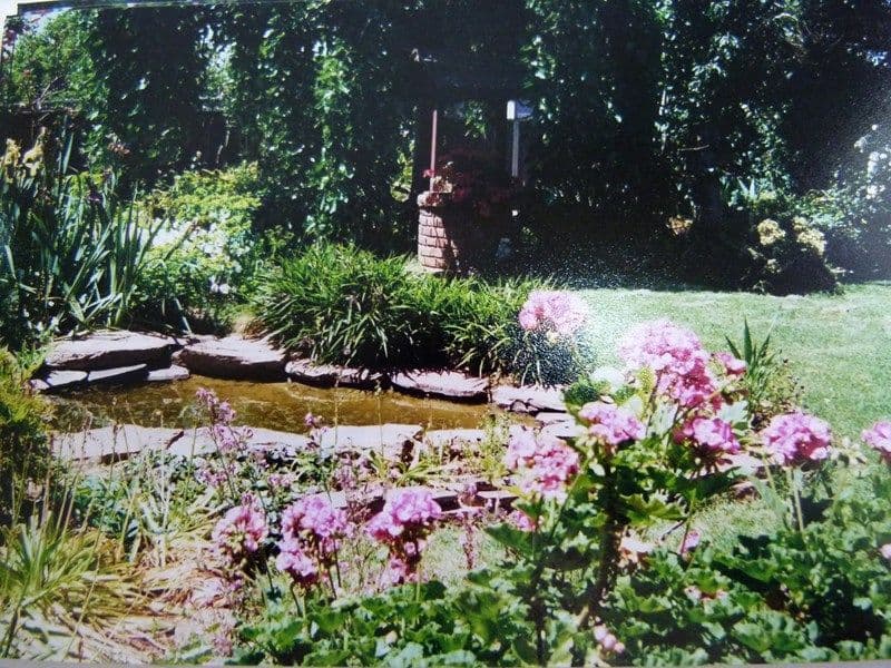 45 Bathurst Street, FORBES NSW 2871, Forbes - Thumbnail 3