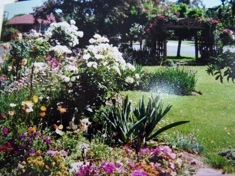 45 Bathurst Street, FORBES NSW 2871, Forbes - Thumbnail 5