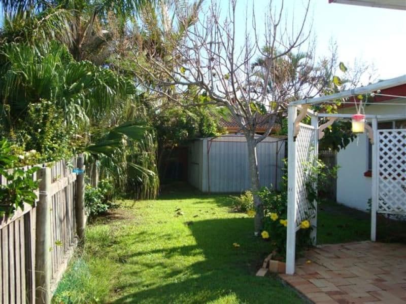 9 Ilumba Street, BUDDINA QLD 4575, Buddina - Thumbnail 4