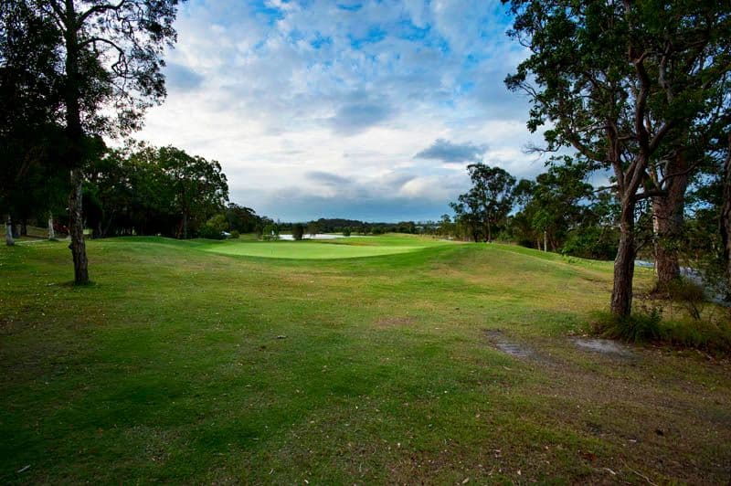 25 Forest Ridge Circuit, PEREGIAN SPRINGS QLD 4573, Peregian Springs - Thumbnail 7