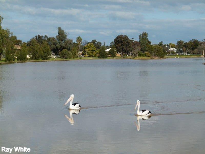 18 Hill Street, FORBES NSW 2871, Forbes - Thumbnail 2