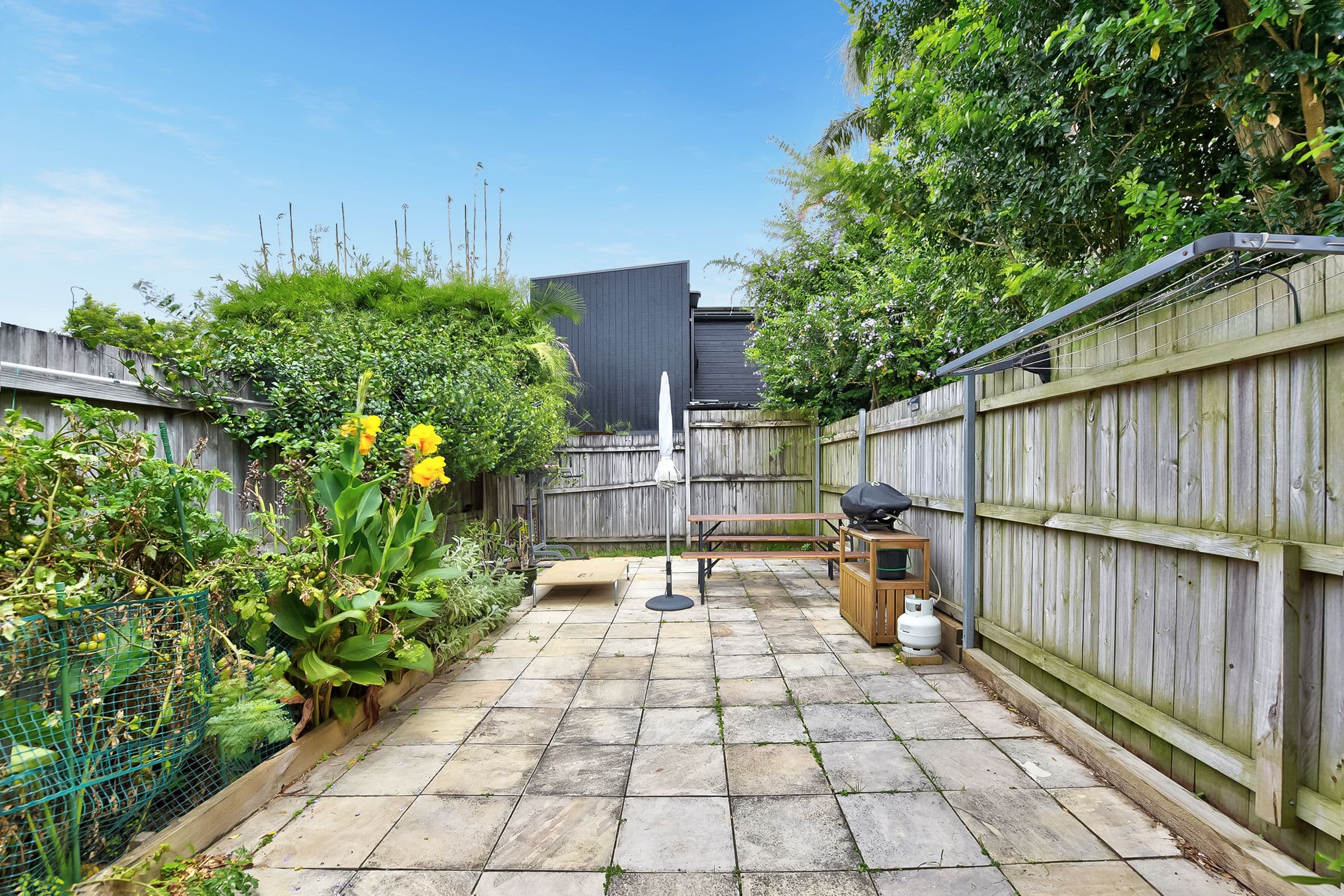 44 Hay Street, Leichhardt NSW 2040, Leichhardt - Thumbnail 8