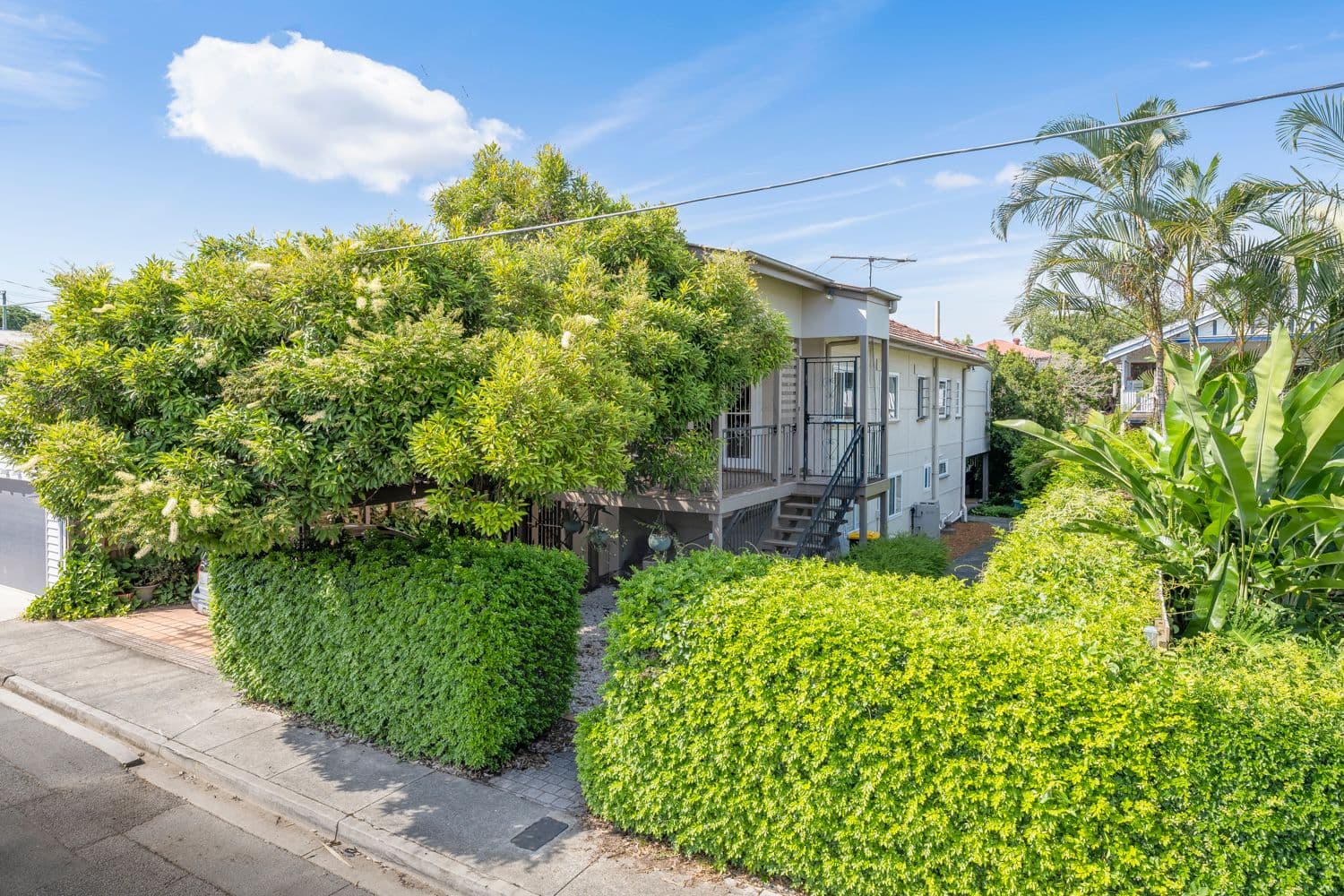 14 Burrell Street, Clayfield QLD 4011, Clayfield - Thumbnail 2