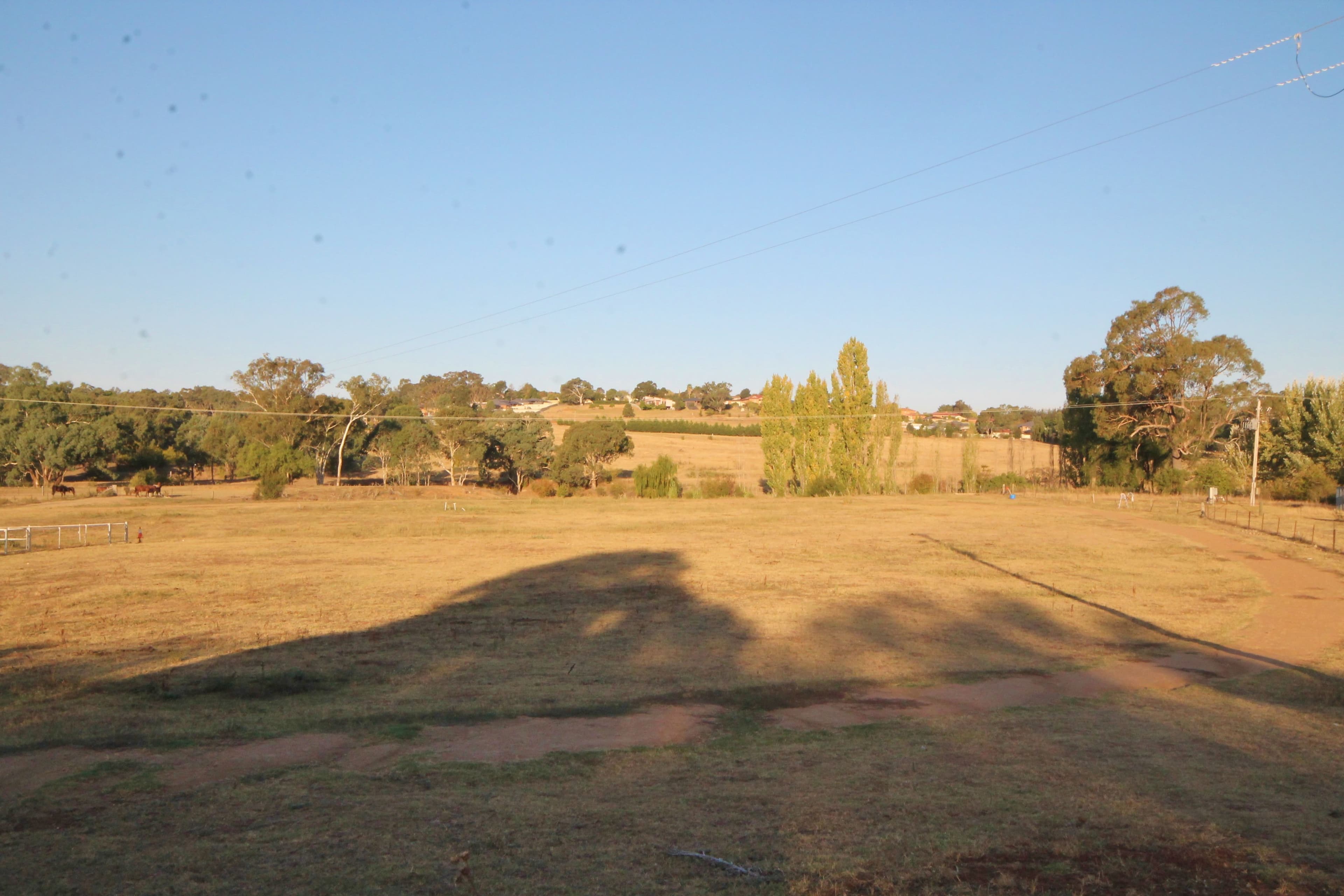 35 Rowleys Road, Young NSW 2594, Young - Thumbnail 2