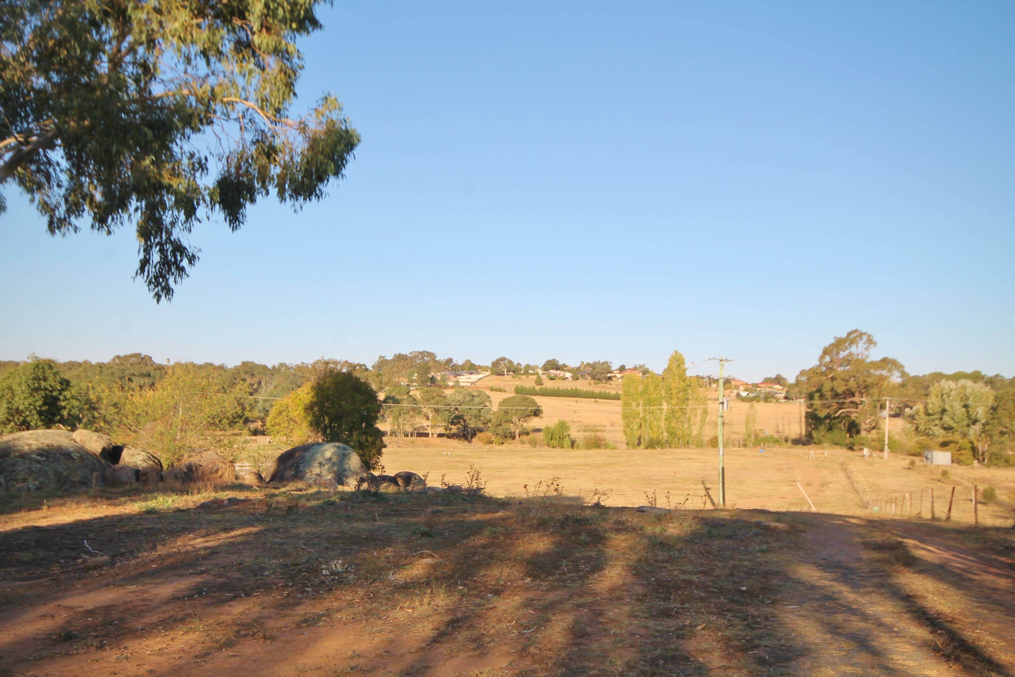 35 Rowleys Road, Young NSW 2594, Young - Thumbnail 3