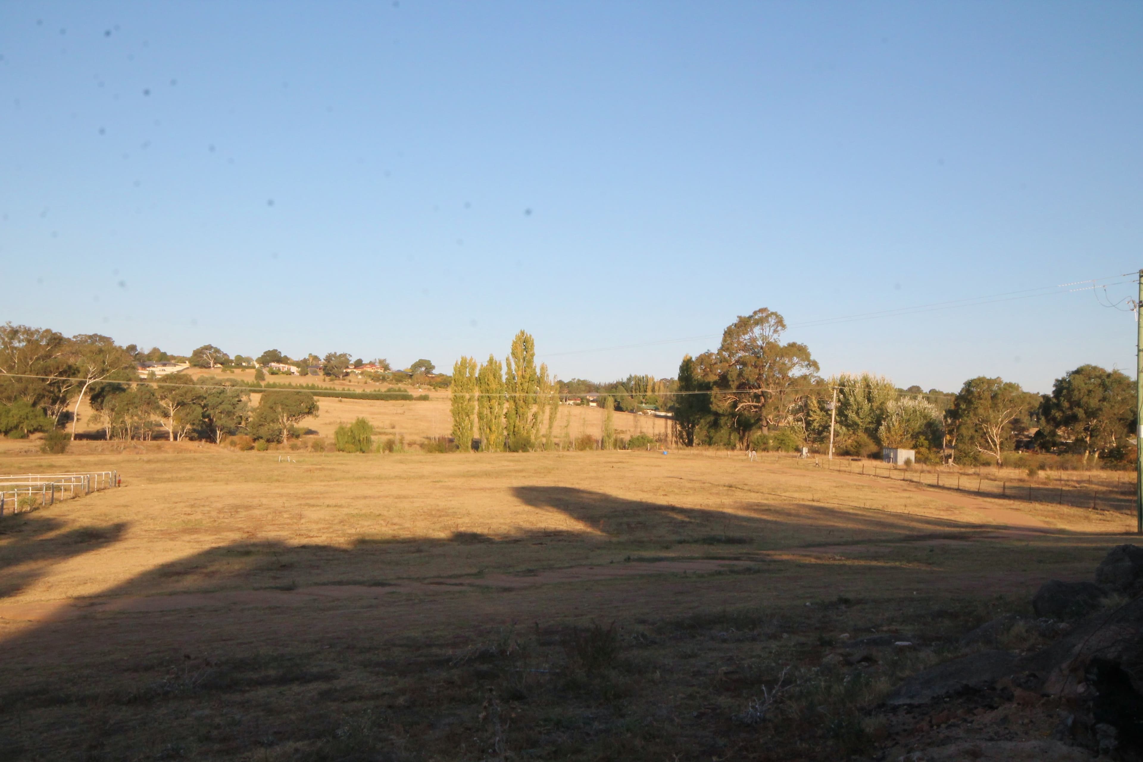 35 Rowleys Road, Young NSW 2594, Young - Thumbnail 4