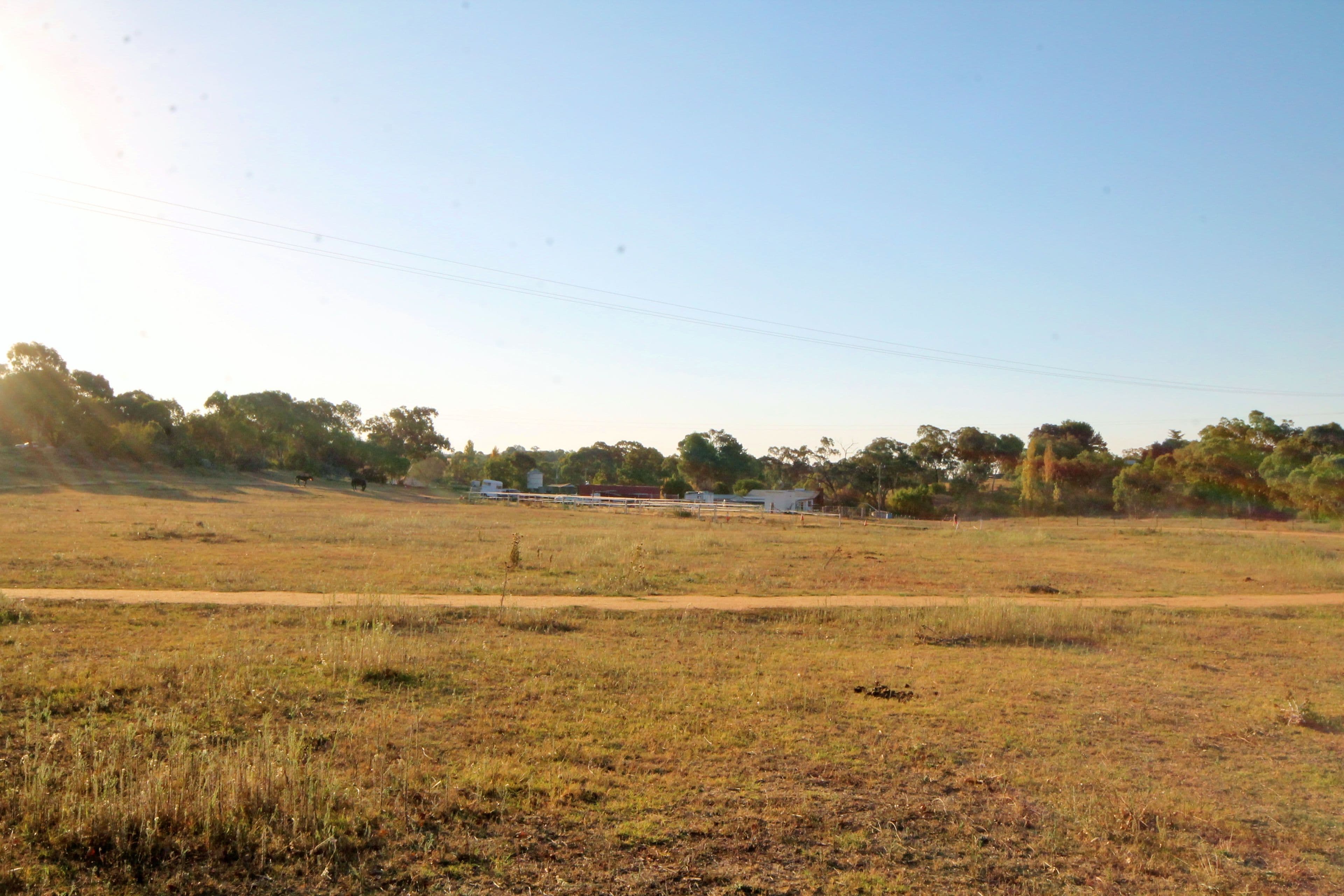 35 Rowleys Road, Young NSW 2594, Young - Thumbnail 5