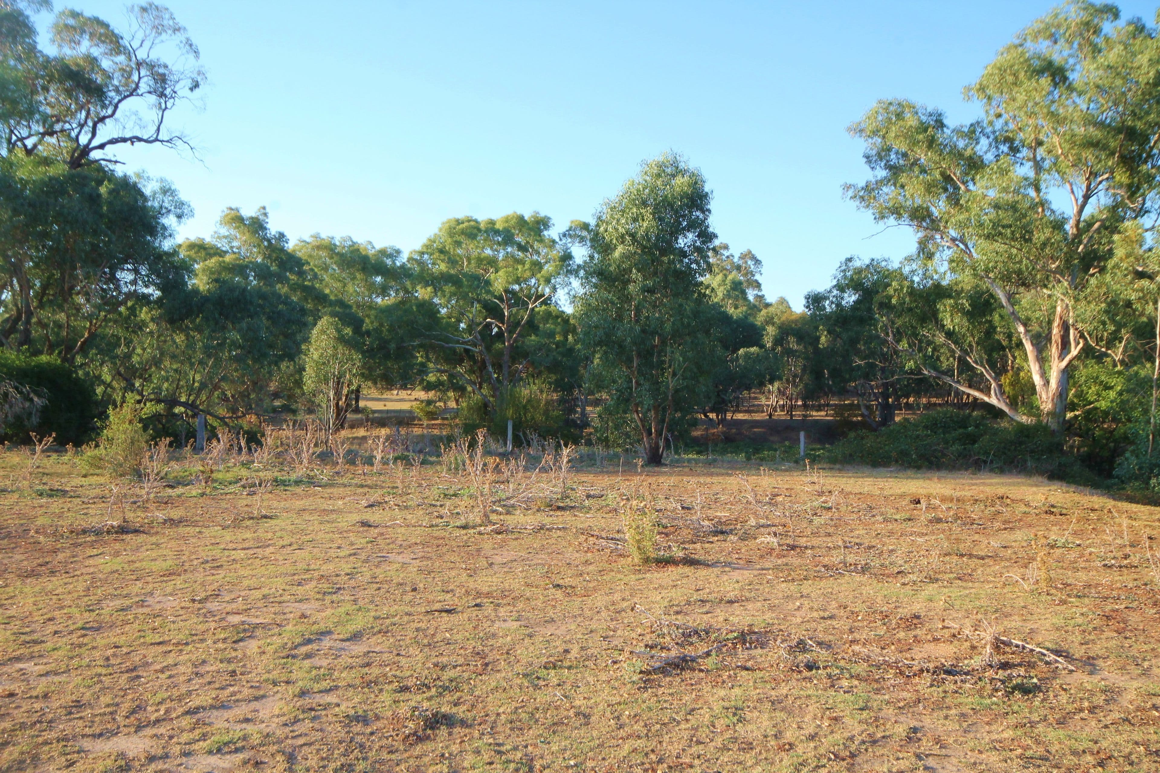 35 Rowleys Road, Young NSW 2594, Young - Thumbnail 6