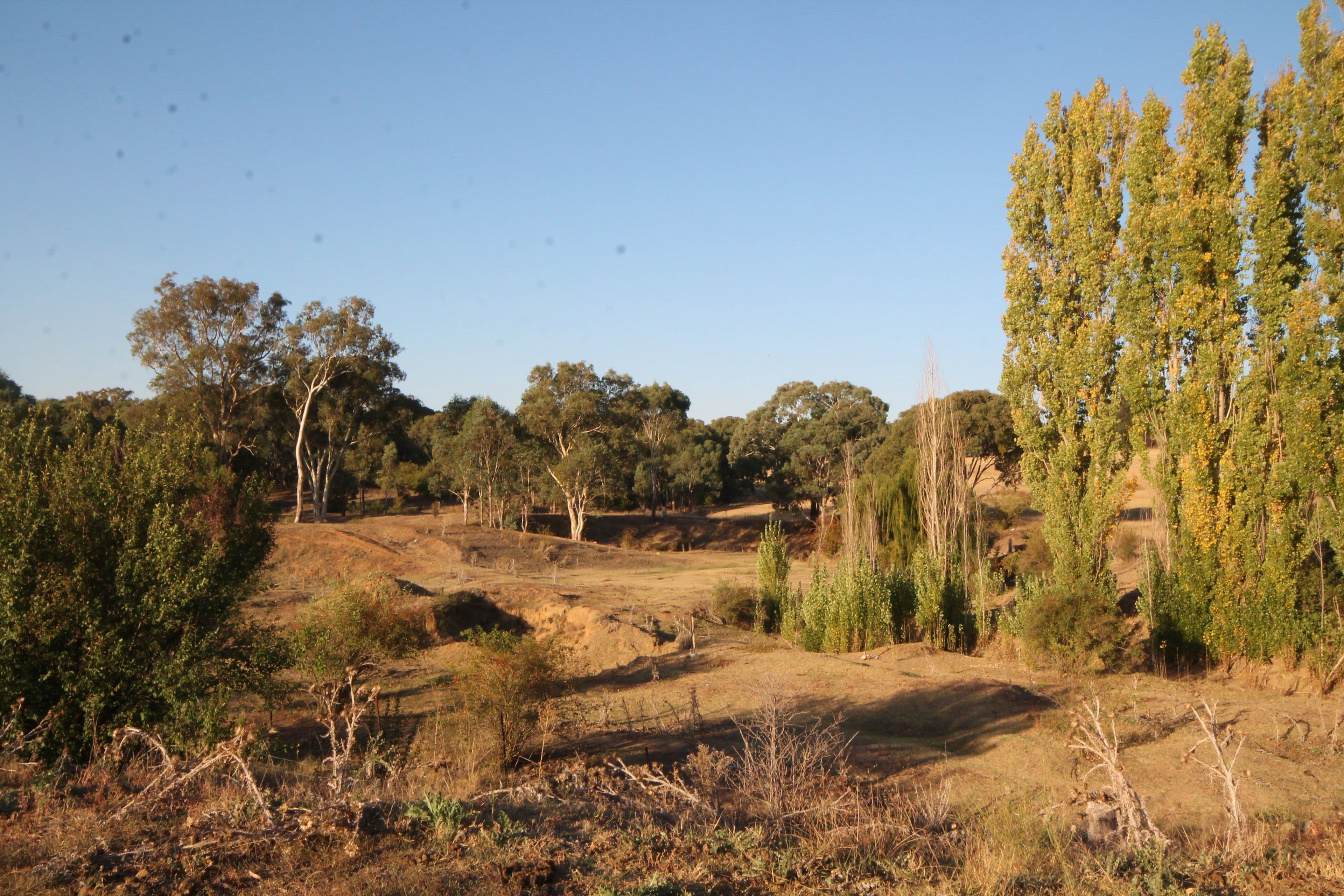 35 Rowleys Road, Young NSW 2594, Young - Thumbnail 7