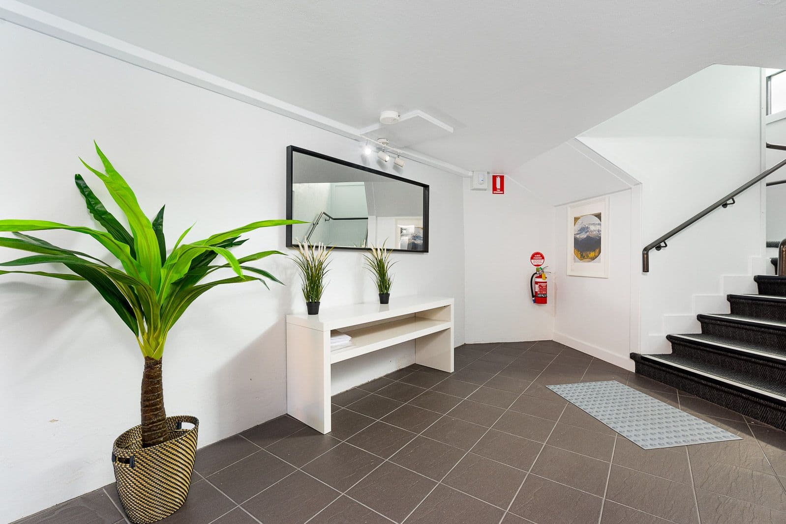 45 Hamilton Road, Fairfield NSW 2165, Fairfield - Thumbnail 5