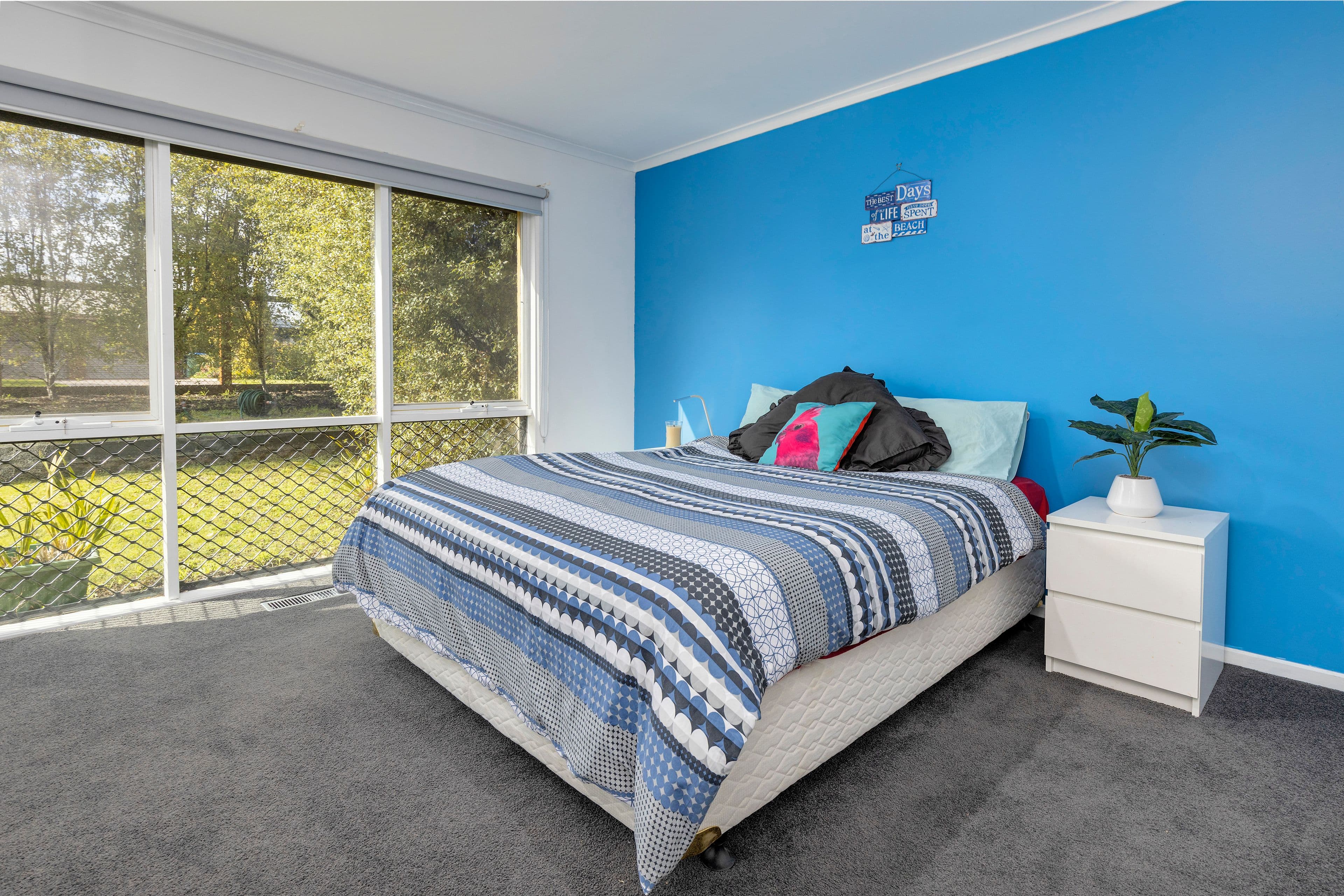 2 Tern Avenue, Capel Sound VIC 3940, Capel Sound - Thumbnail 5