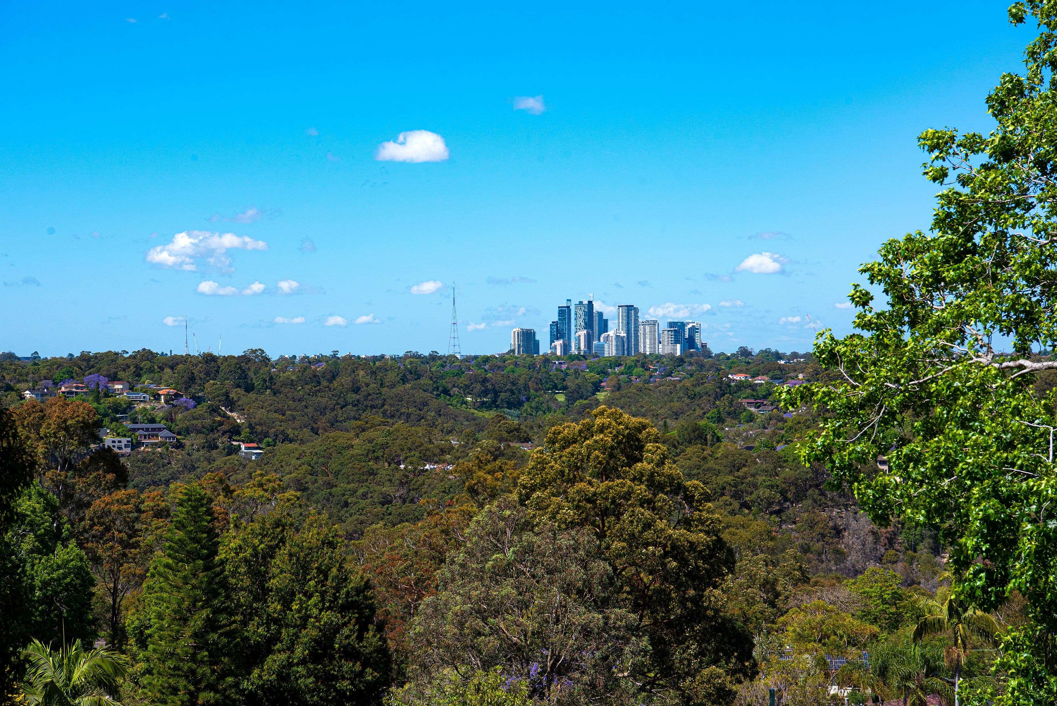 79 Arthur Street, Forestville NSW 2087, Forestville - Thumbnail 4