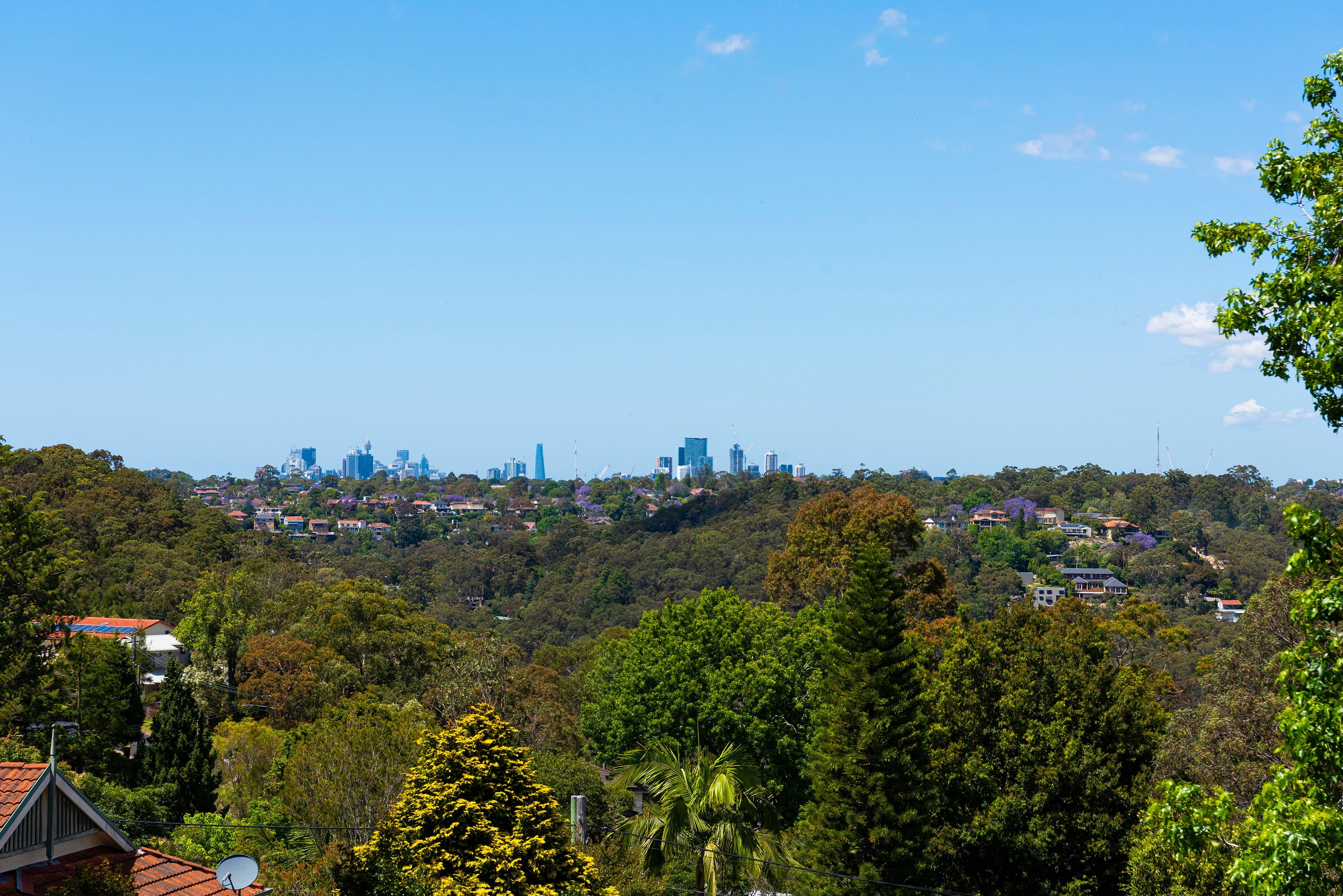 79 Arthur Street, Forestville NSW 2087, Forestville - Thumbnail 5