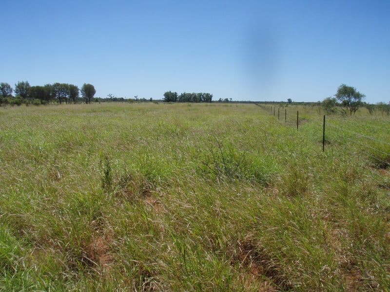 Lot 31 Albert Park Road, CHARLEVILLE QLD 4470, Charleville - Image 1