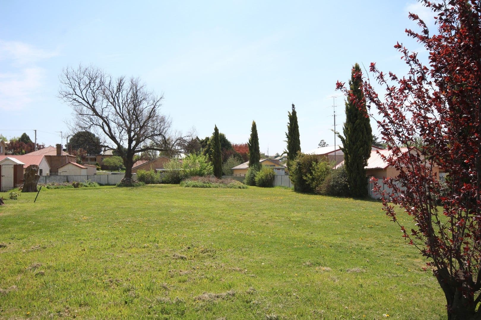 129 Curtis, Oberon NSW 2787, Oberon - Thumbnail 2
