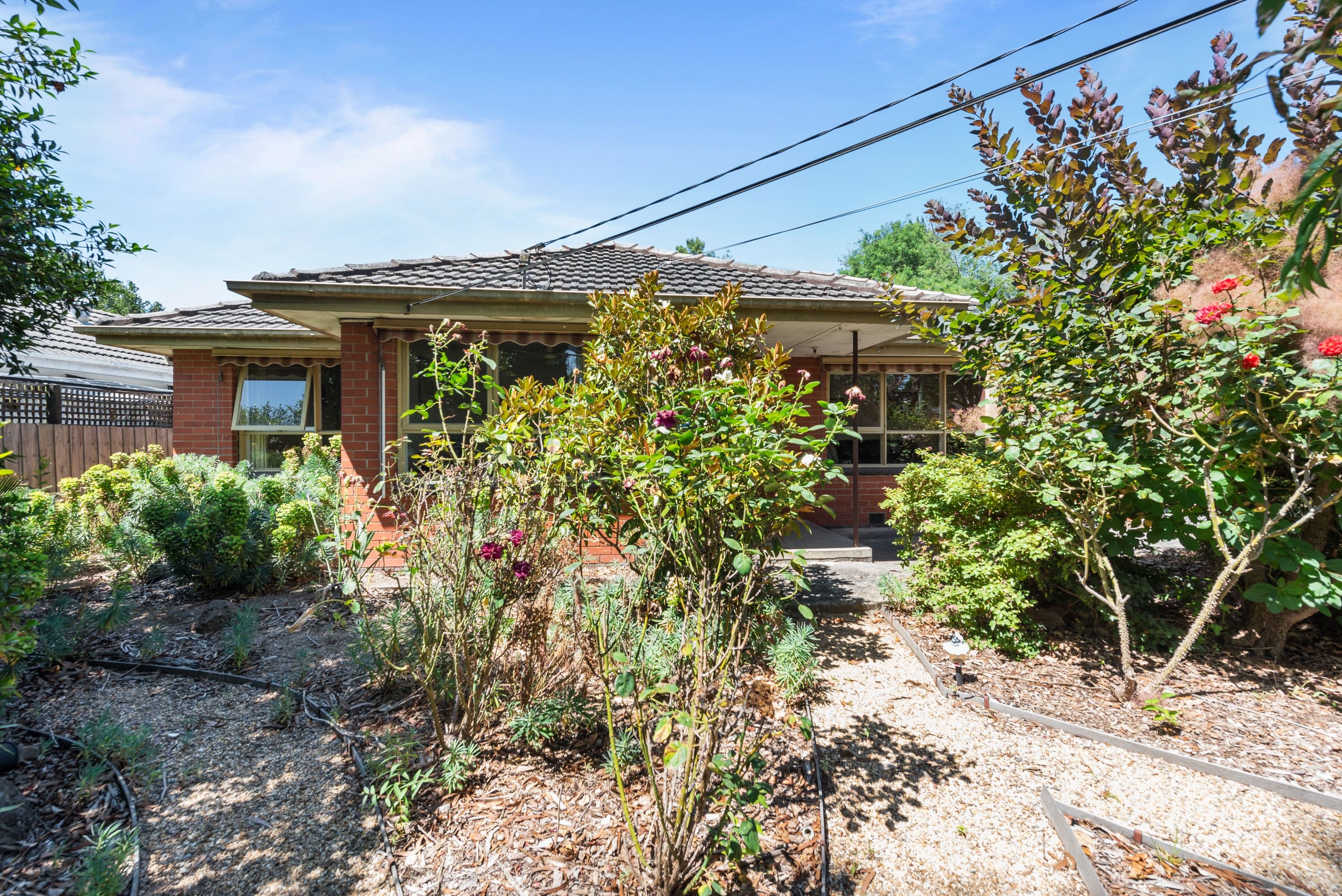 46 Homer Avenue, Croydon South VIC 3136, Croydon South - Thumbnail 4