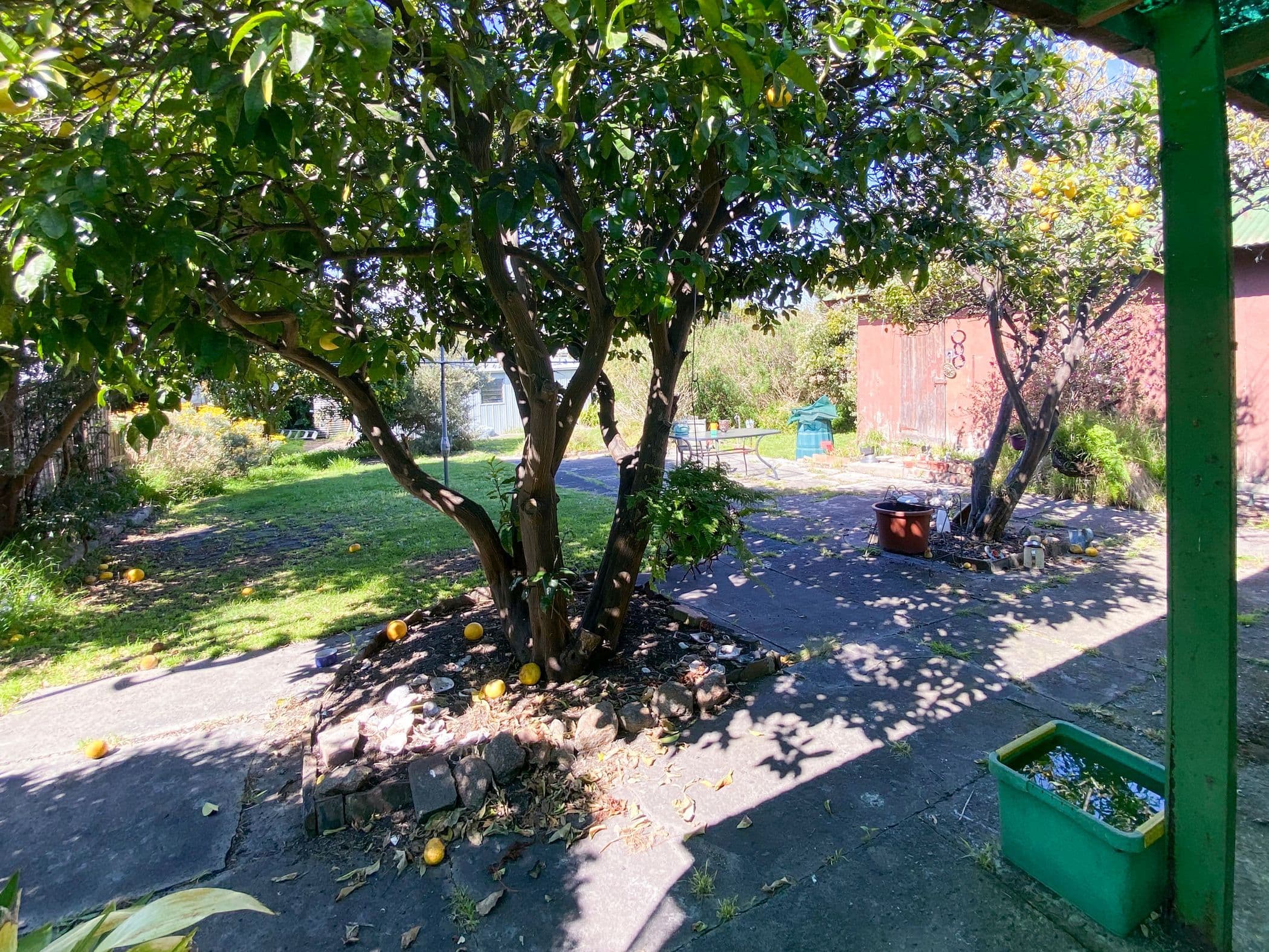 135 Jetty Road, Rosebud VIC 3939, Rosebud - Thumbnail 4