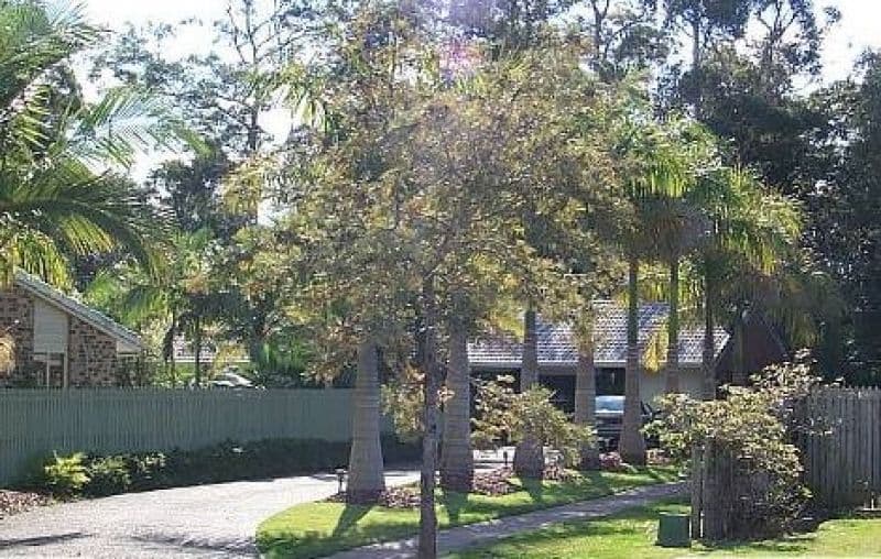 11 Loang Court Mountain Creek QLD, Mountain Creek - Image 1