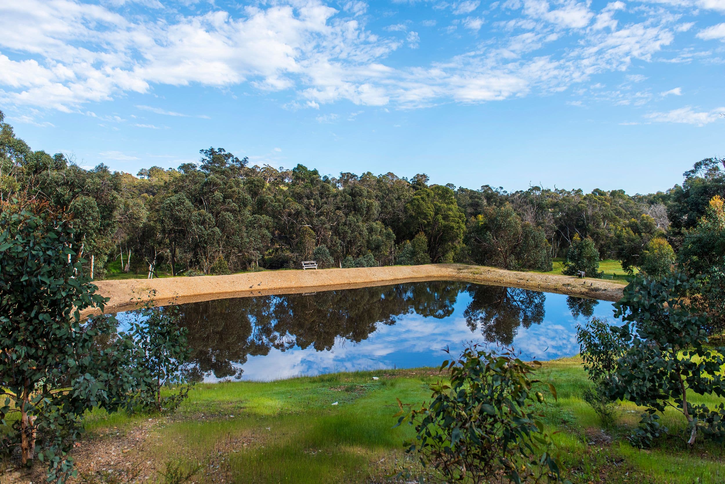 53 Morley Road, Lower Chittering WA 6084, Lower Chittering - Thumbnail 3