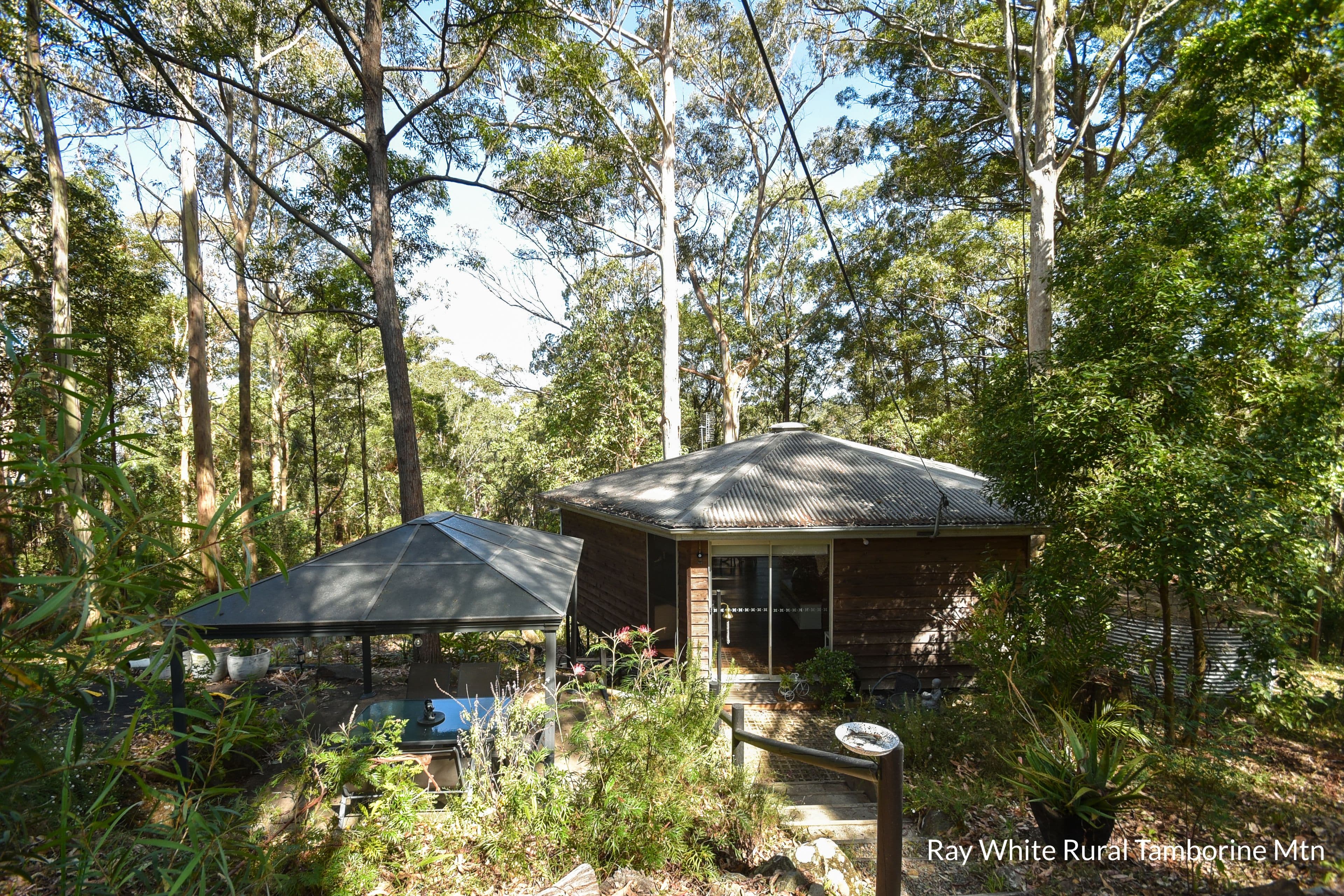 7 Orchis Drive, Tamborine Mountain QLD 4272, Tamborine Mountain - Thumbnail 4