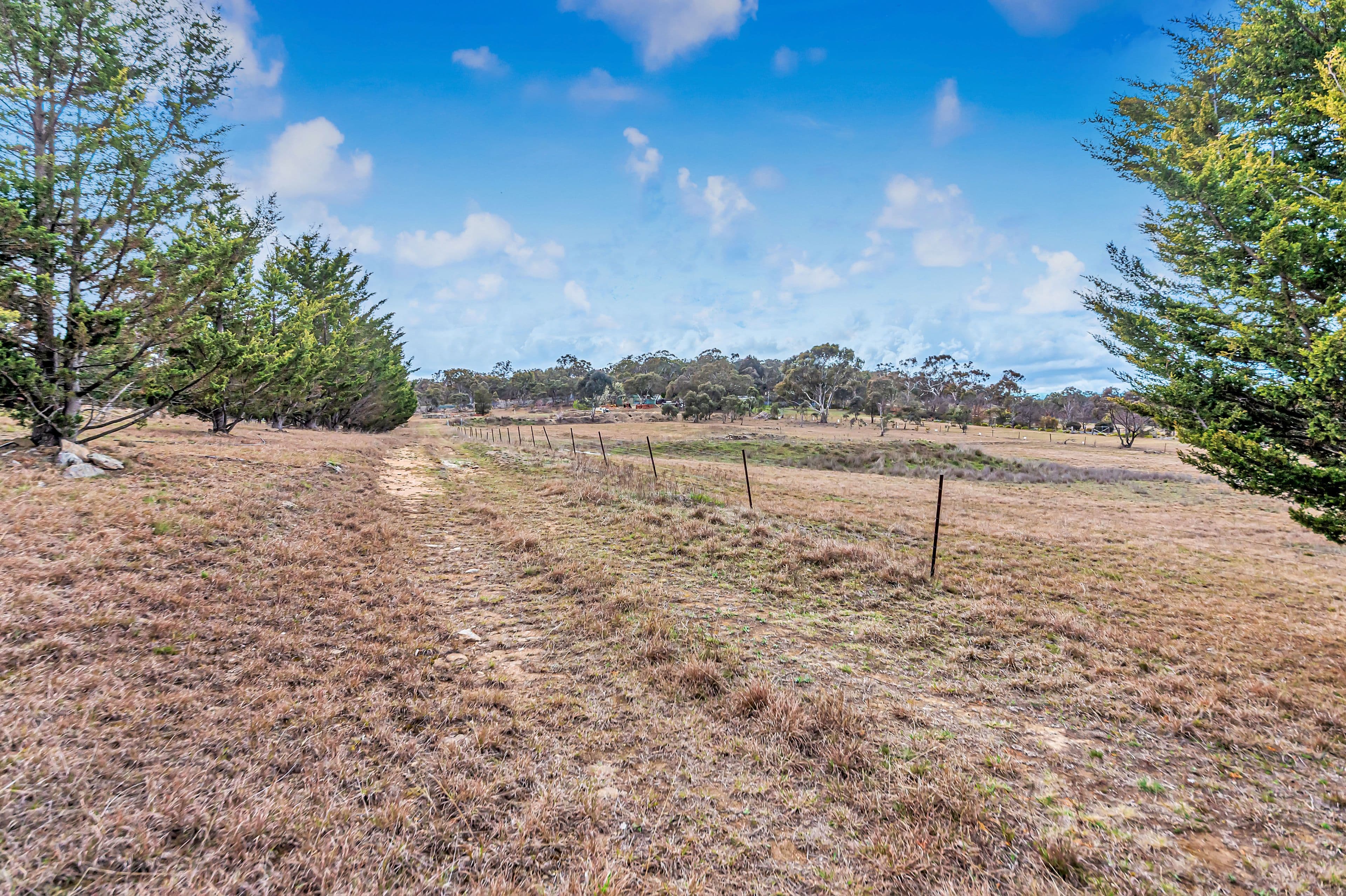 118 Cavanagh Close, Googong - Thumbnail 5