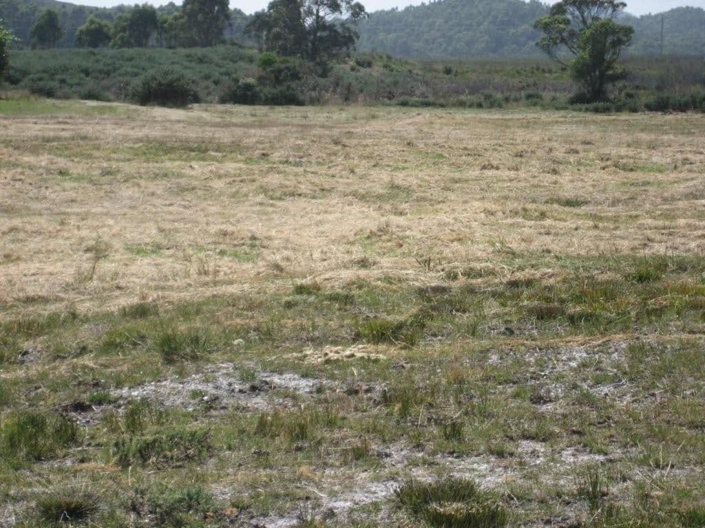ZEEHAN TAS 7469, Zeehan - Thumbnail 2