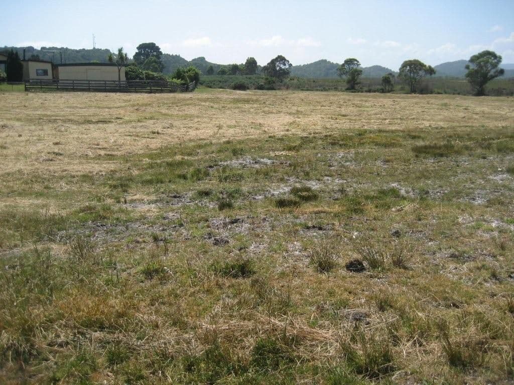 ZEEHAN TAS 7469, Zeehan - Thumbnail 3