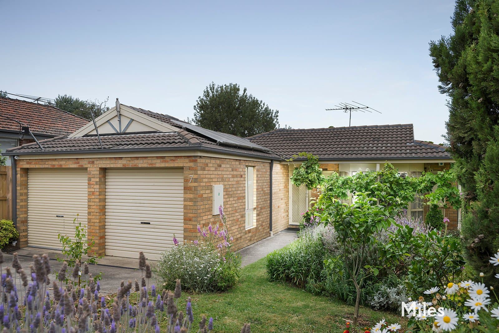 7 Barce Place, Heidelberg West, Heidelberg West - Thumbnail 3