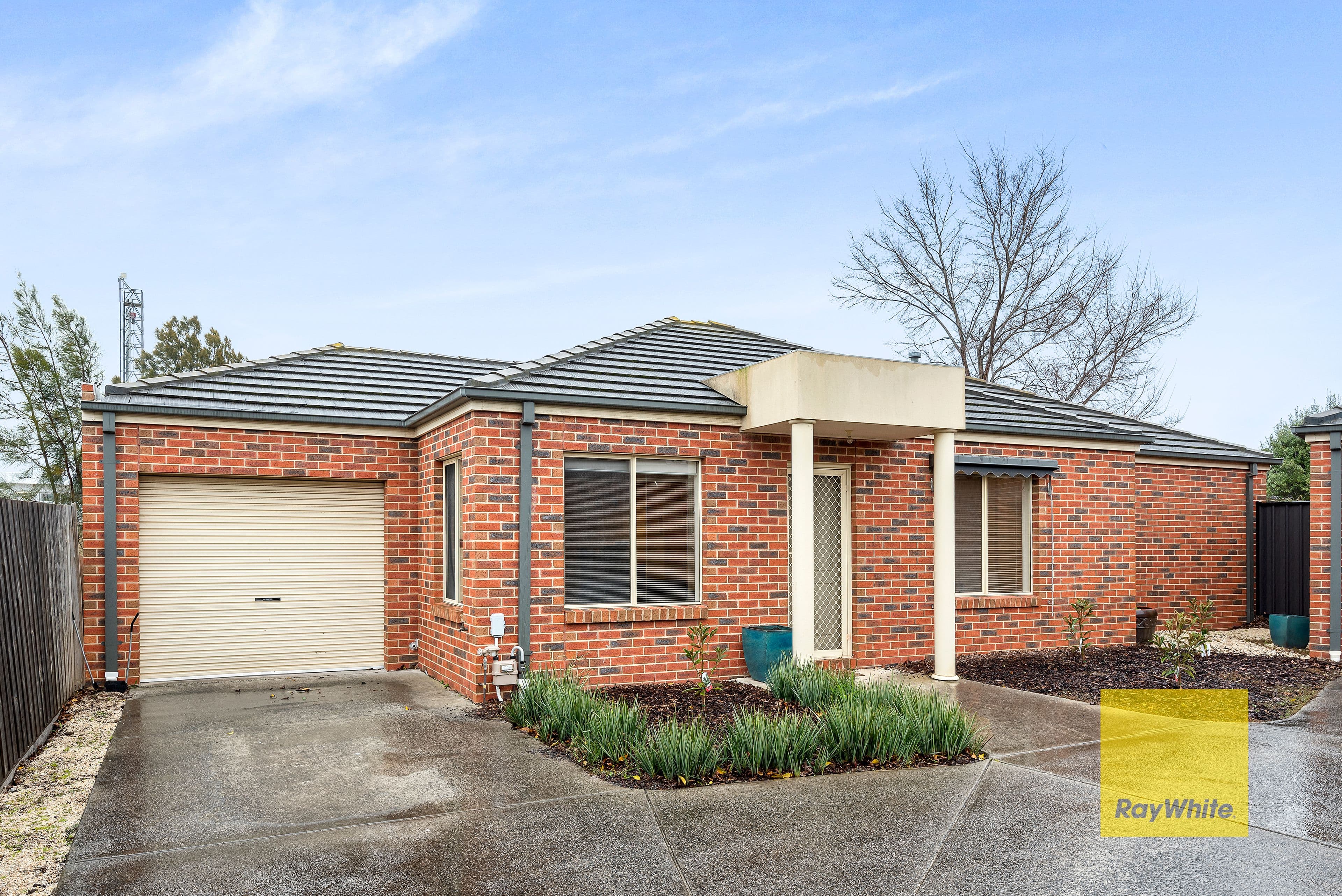 15 Arbour Grove, Belmont VIC 3216, Belmont - Image 1