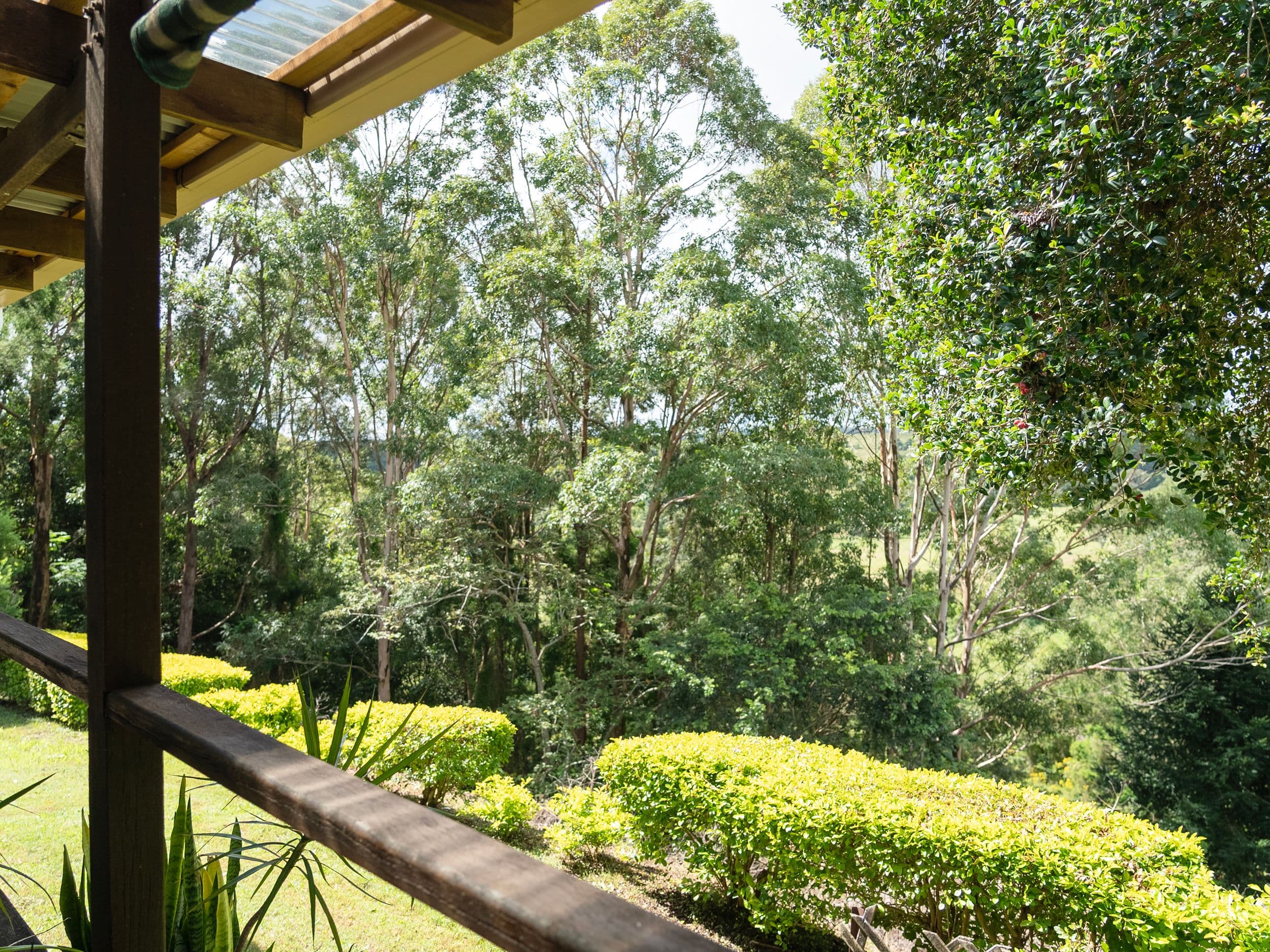 21 Woodland Avenue, Lismore Heights NSW 2480, Lismore Heights - Thumbnail 4