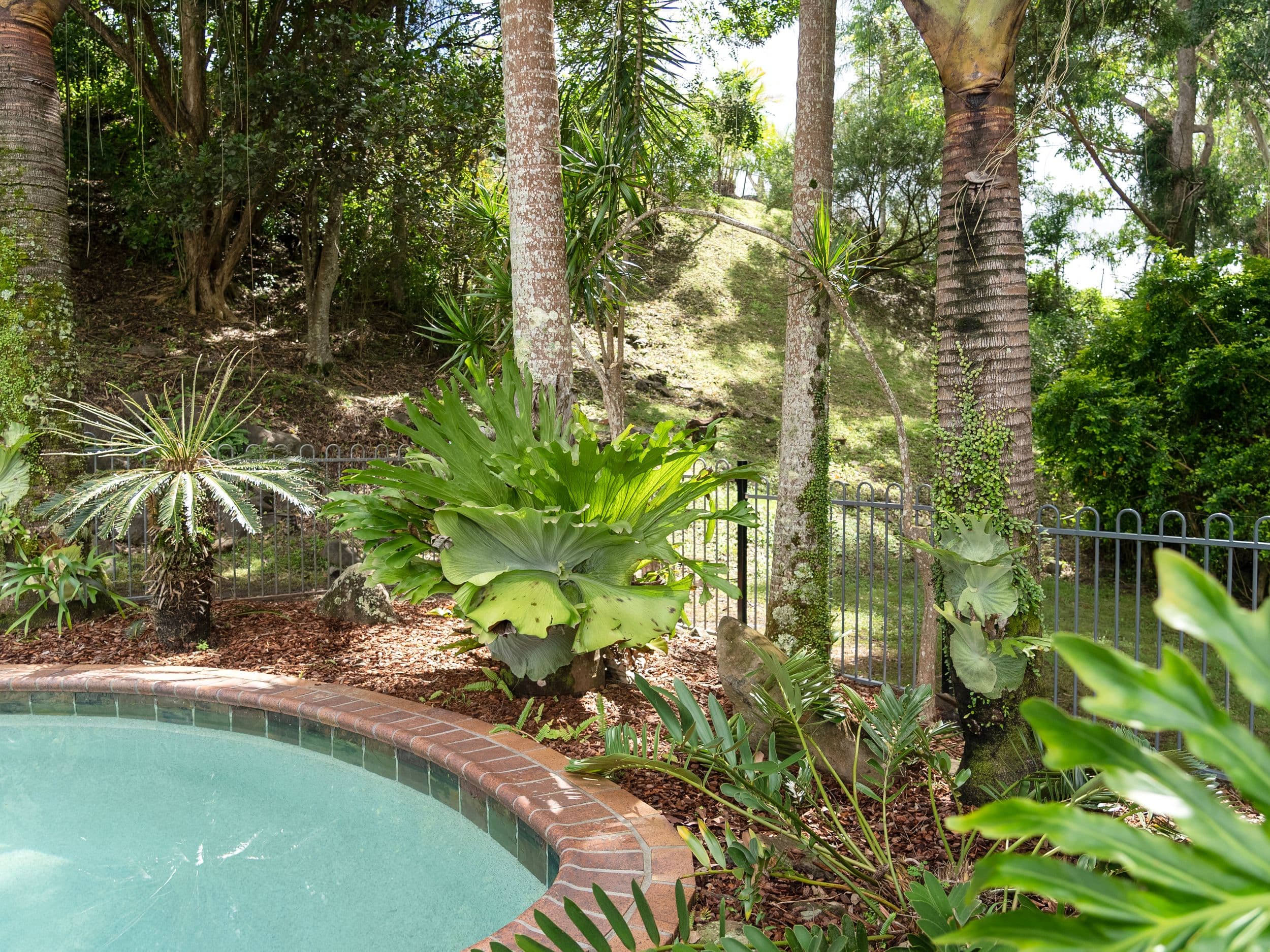 21 Woodland Avenue, Lismore Heights NSW 2480, Lismore Heights - Thumbnail 8