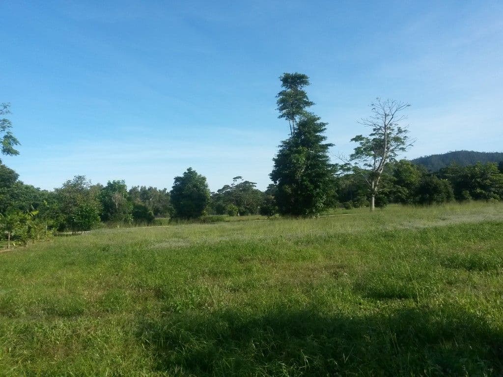 Lot 34 Sandpiper Close, MISSION BEACH QLD 4852, Mission Beach - Thumbnail 2