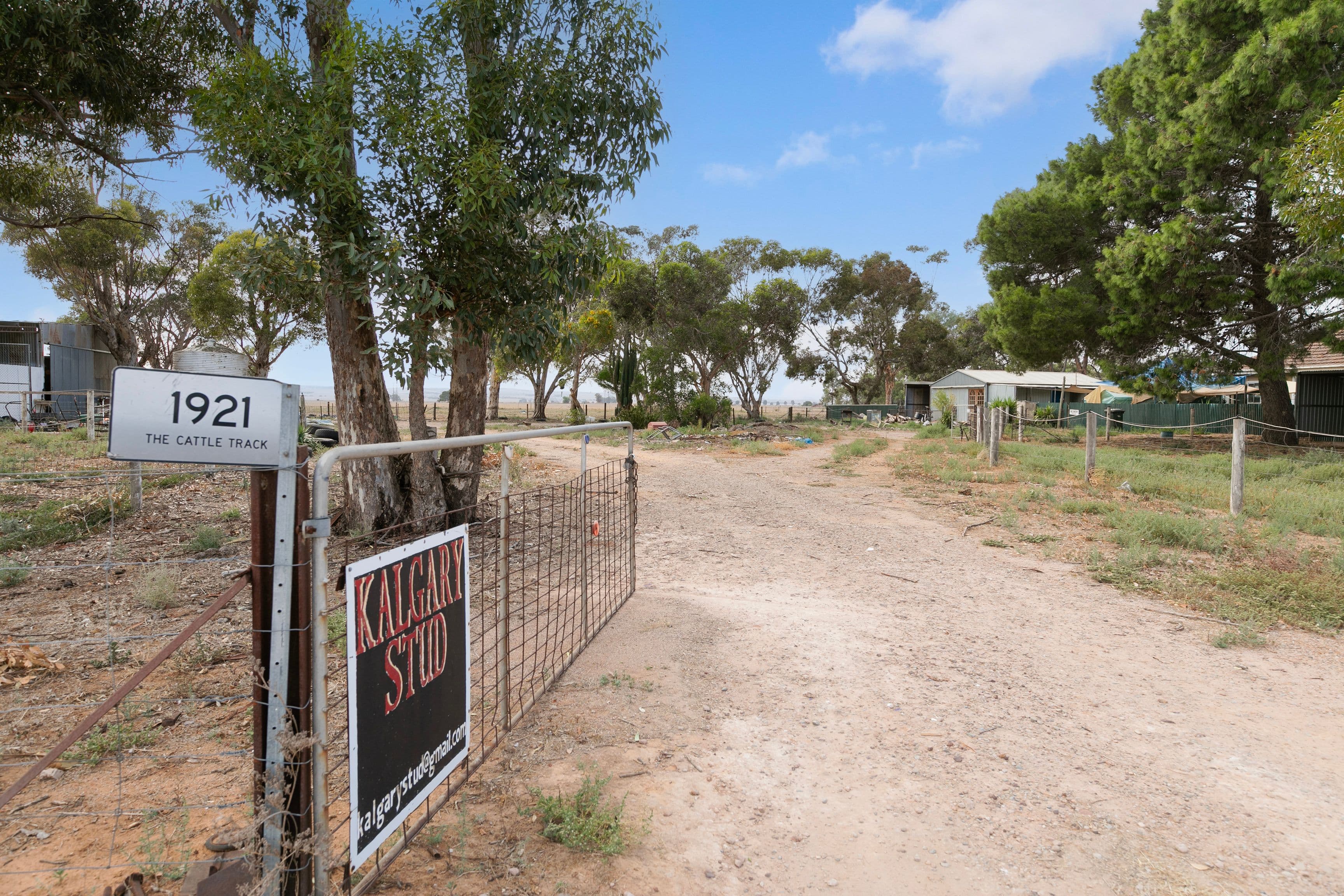 1921 The Cattle Track, Redhill SA 5521, Redhill - Thumbnail 3