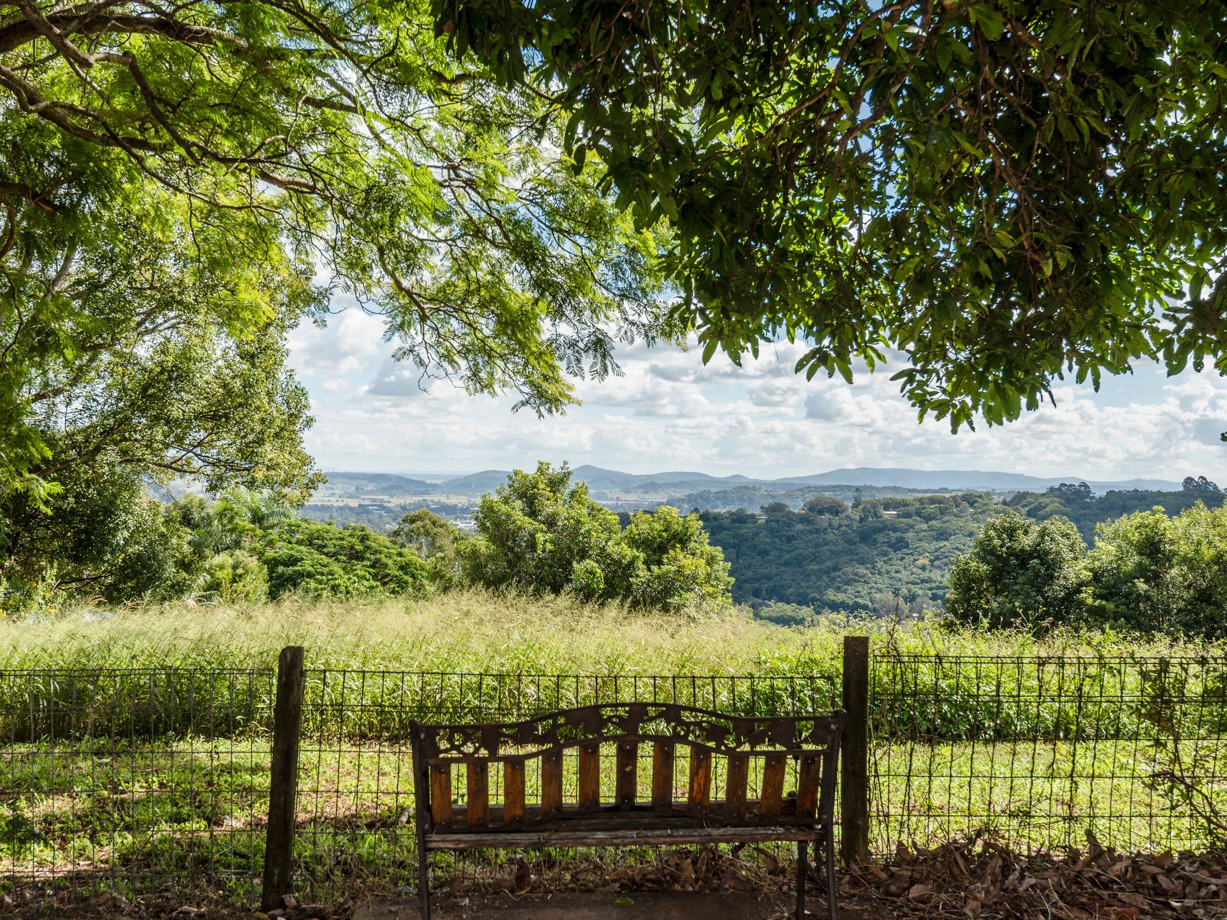 75 Invercauld Road, Goonellabah NSW 2480, Goonellabah - Thumbnail 2