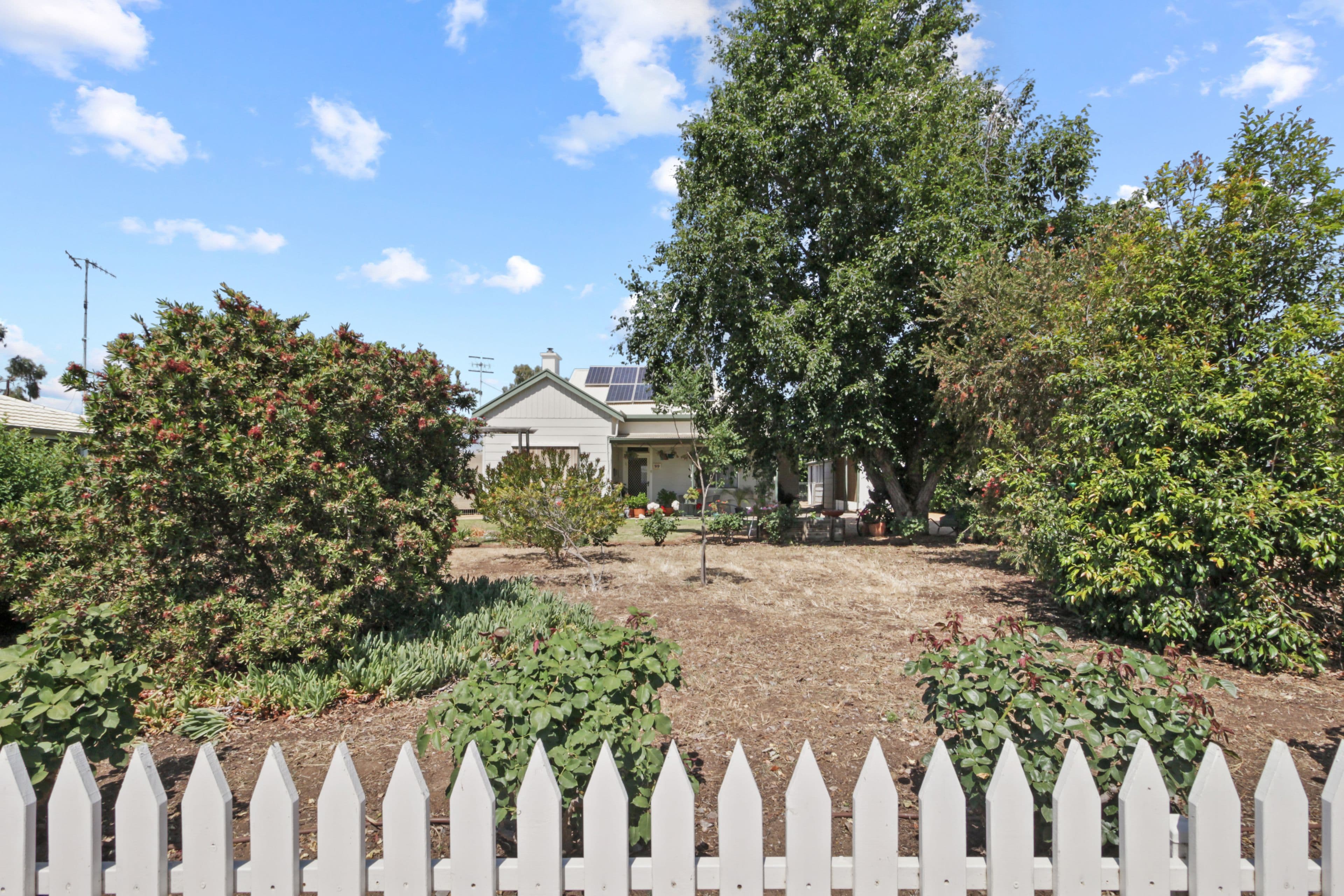 59 Twentieth Street, Renmark SA 5341, Renmark - Thumbnail 2