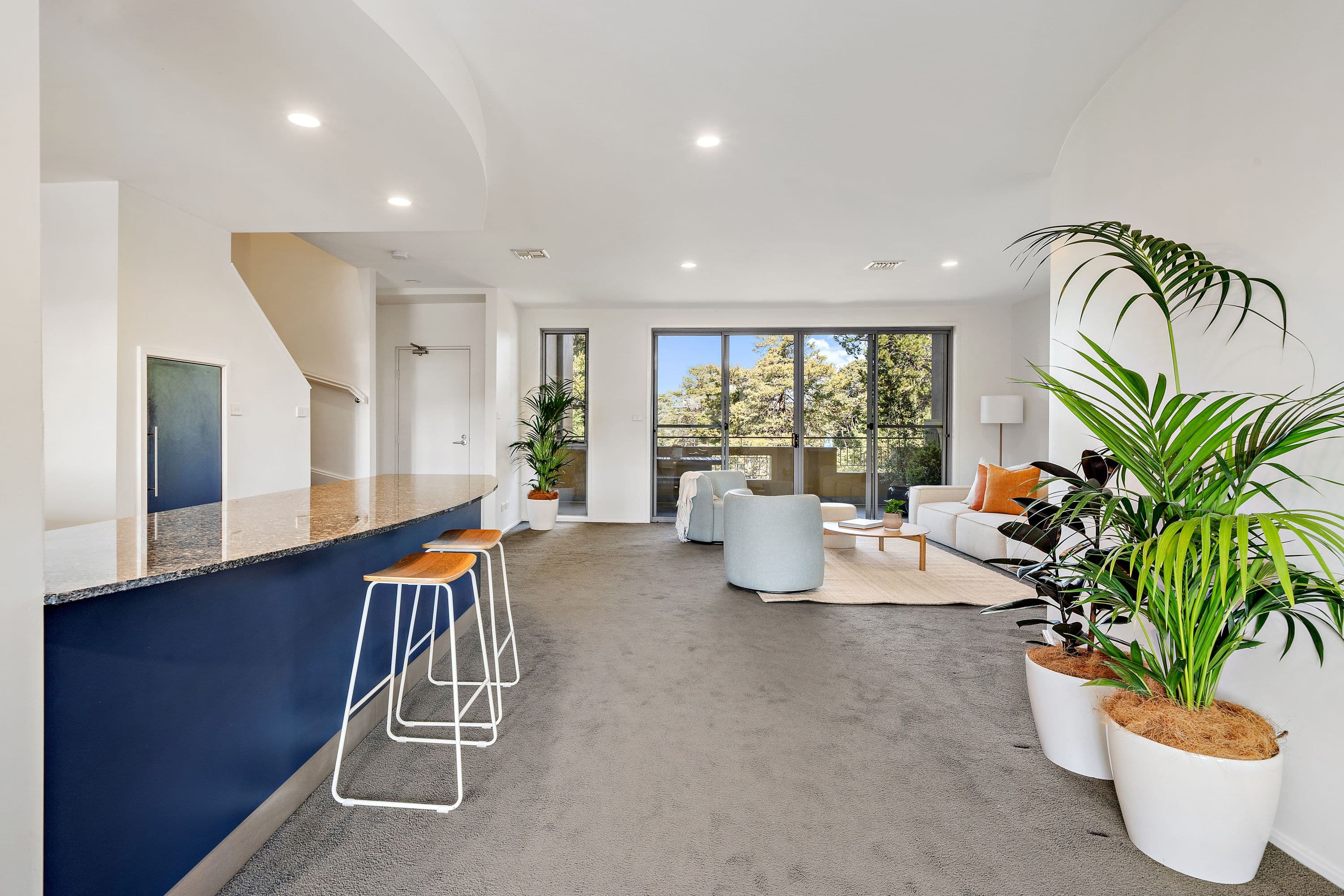 9 Fitzroy Street, Forrest ACT 2603, Forrest - Thumbnail 4