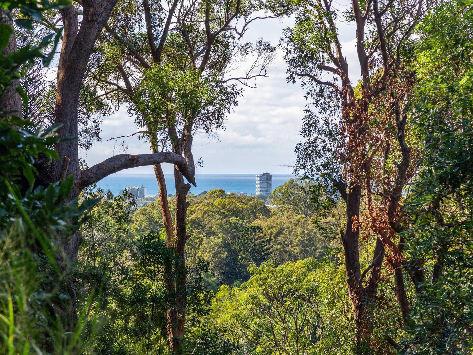 40 Skyline Terrace, Burleigh Heads QLD 4220, Burleigh Heads - Thumbnail 6